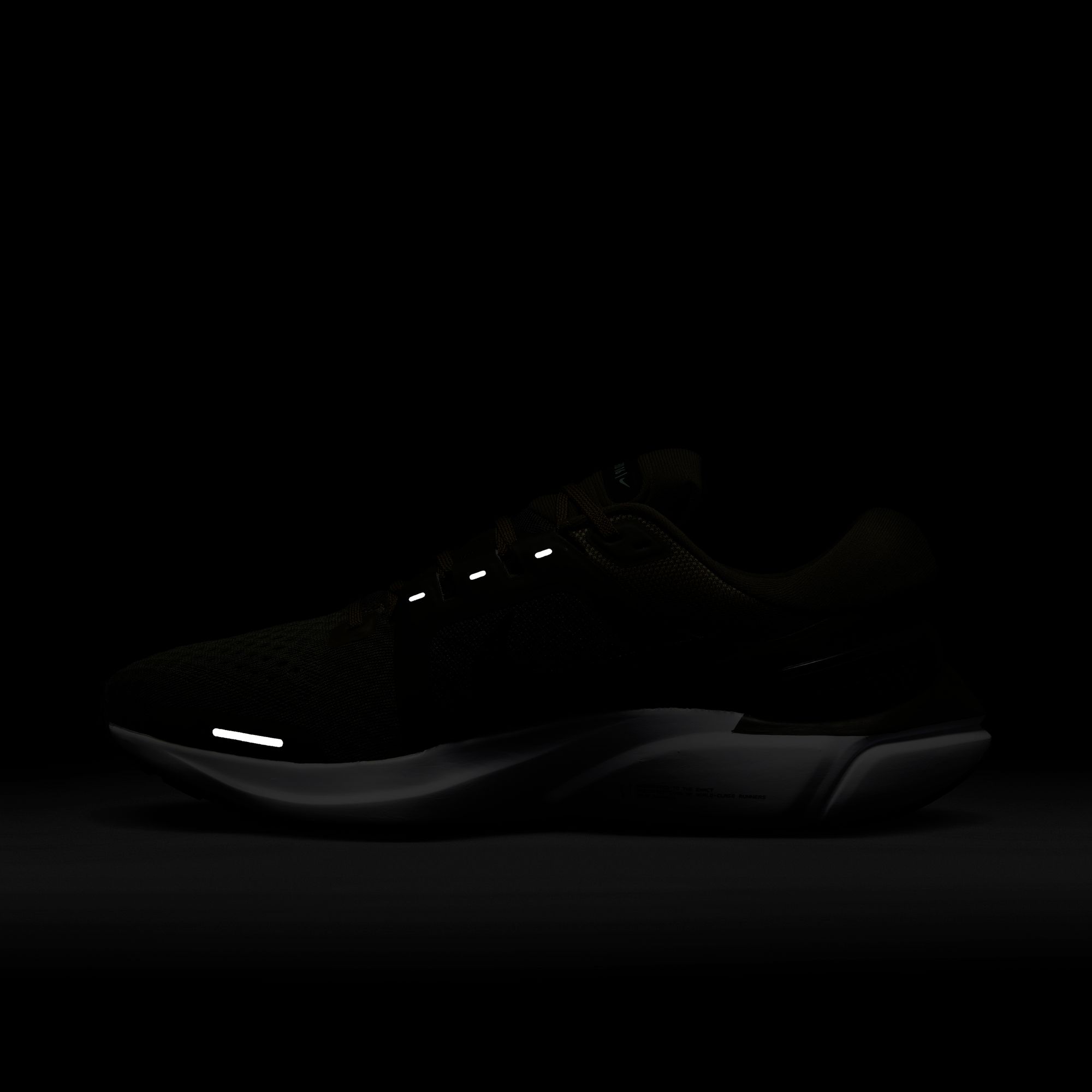 Nike Air Zoom Vomero 16 Road Running Erkek Spor Ayakkabı