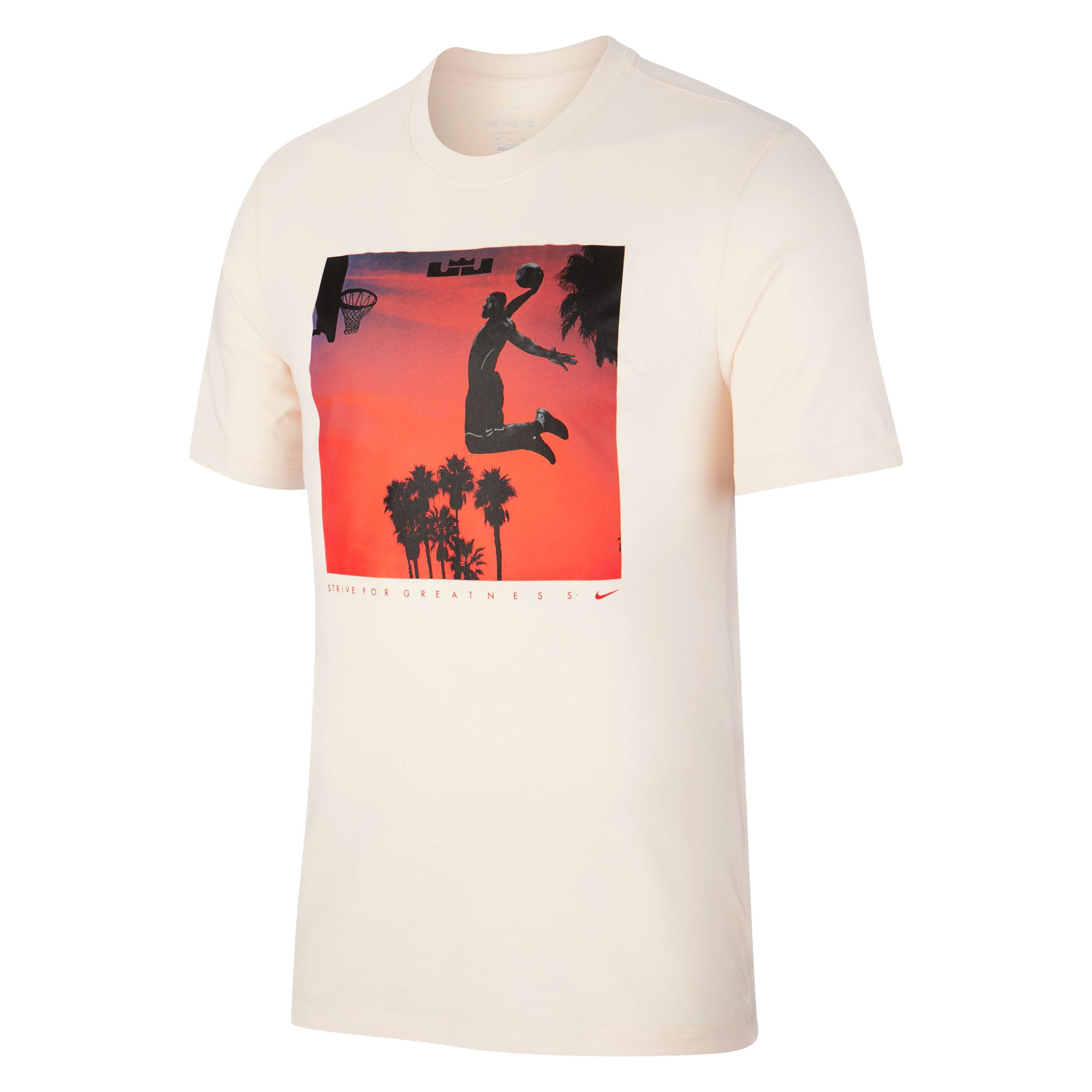 Nike Dri-Fit LeBron Fly Short Sleeve Erkek Tişört