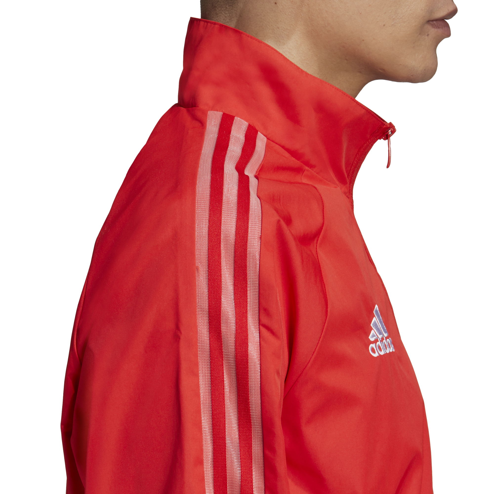 adidas Beşiktaş Anthem Erkek Ceket