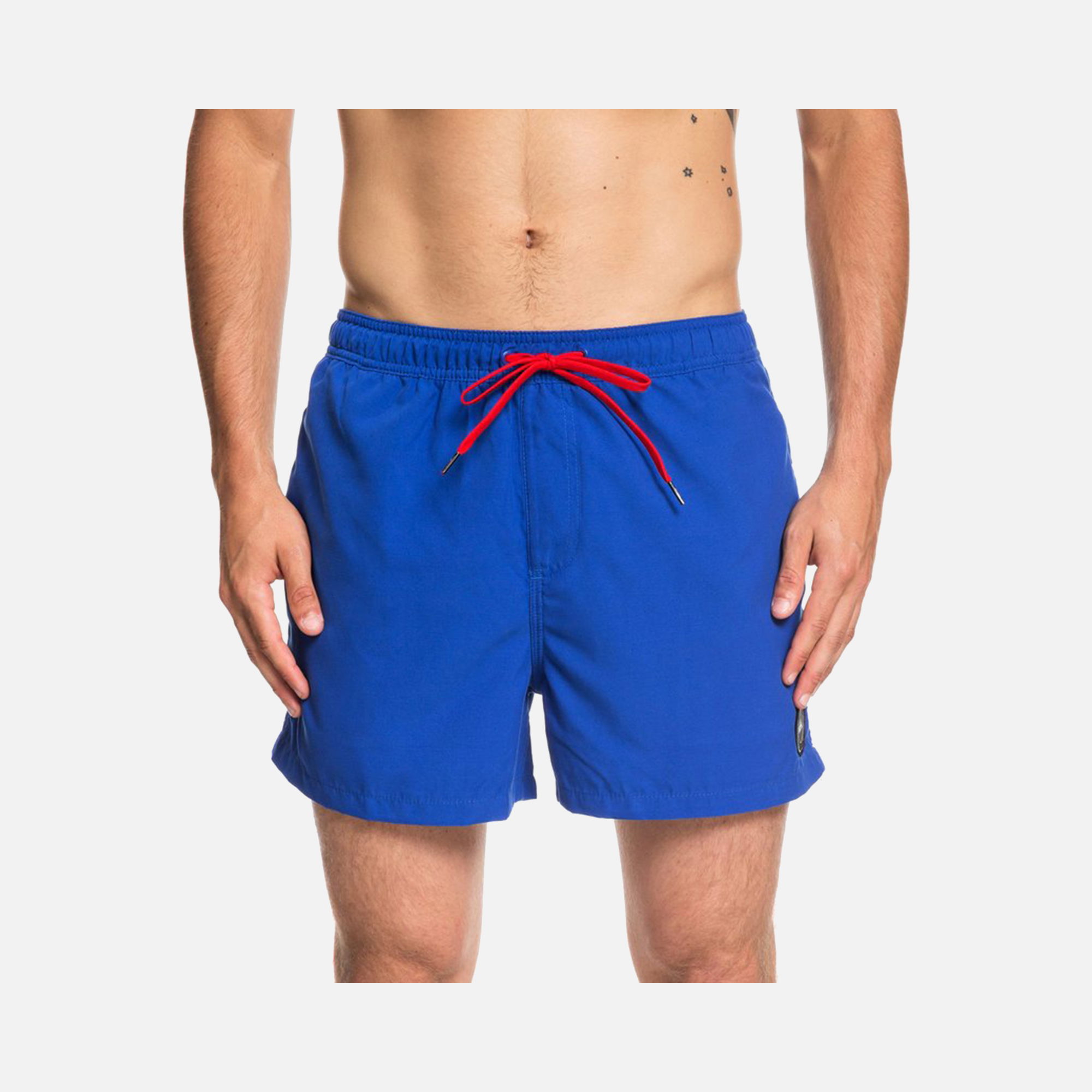 Quiksilver Everyday 15" Erkek Şort Mayo