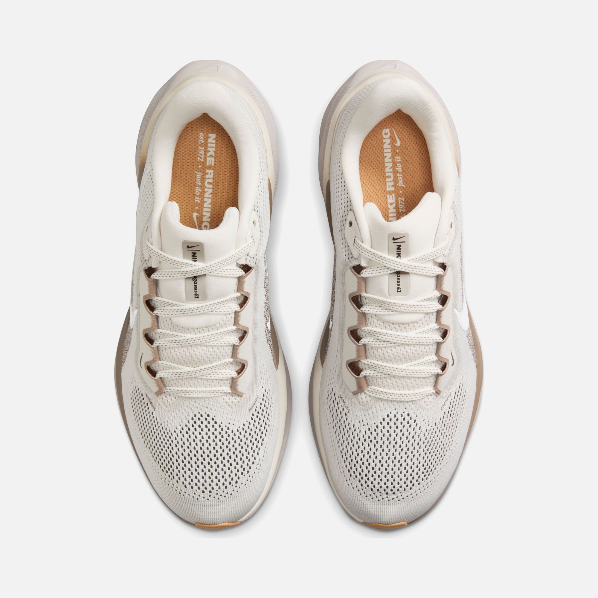 Nike Air Zoom Pegasus 41 Road Running Kadın Spor Ayakkabı