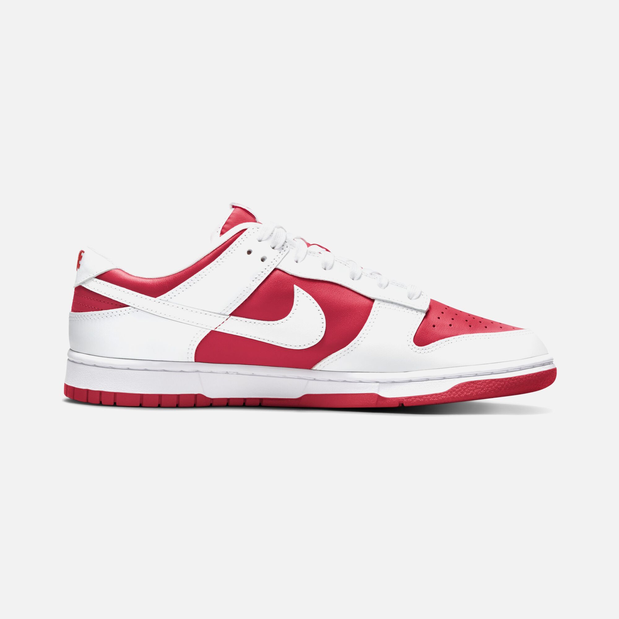 Nike Dunk Low Retro Erkek Spor Ayakkabı