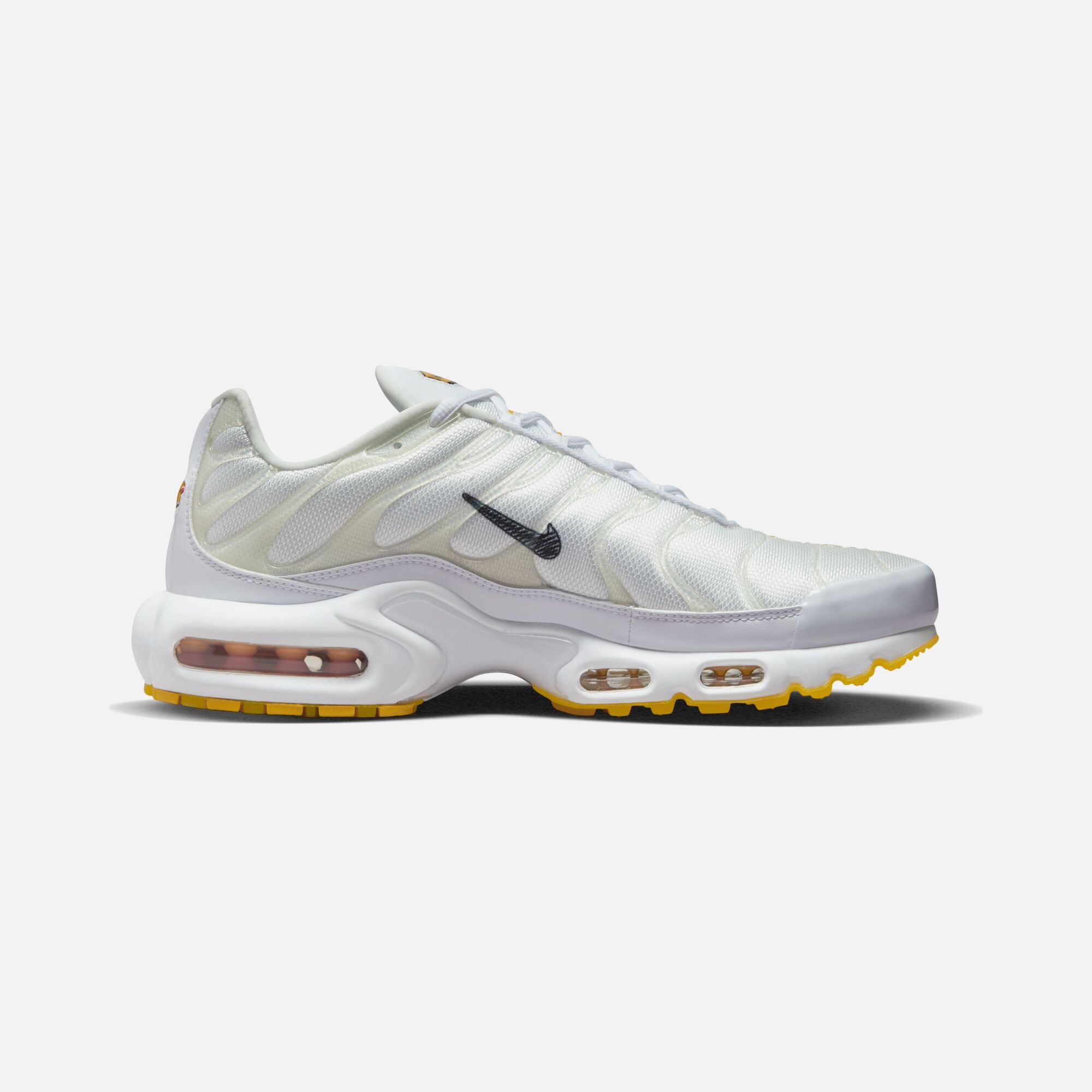 Nike Air Max Plus SE FW22 Erkek Spor Ayakkabı