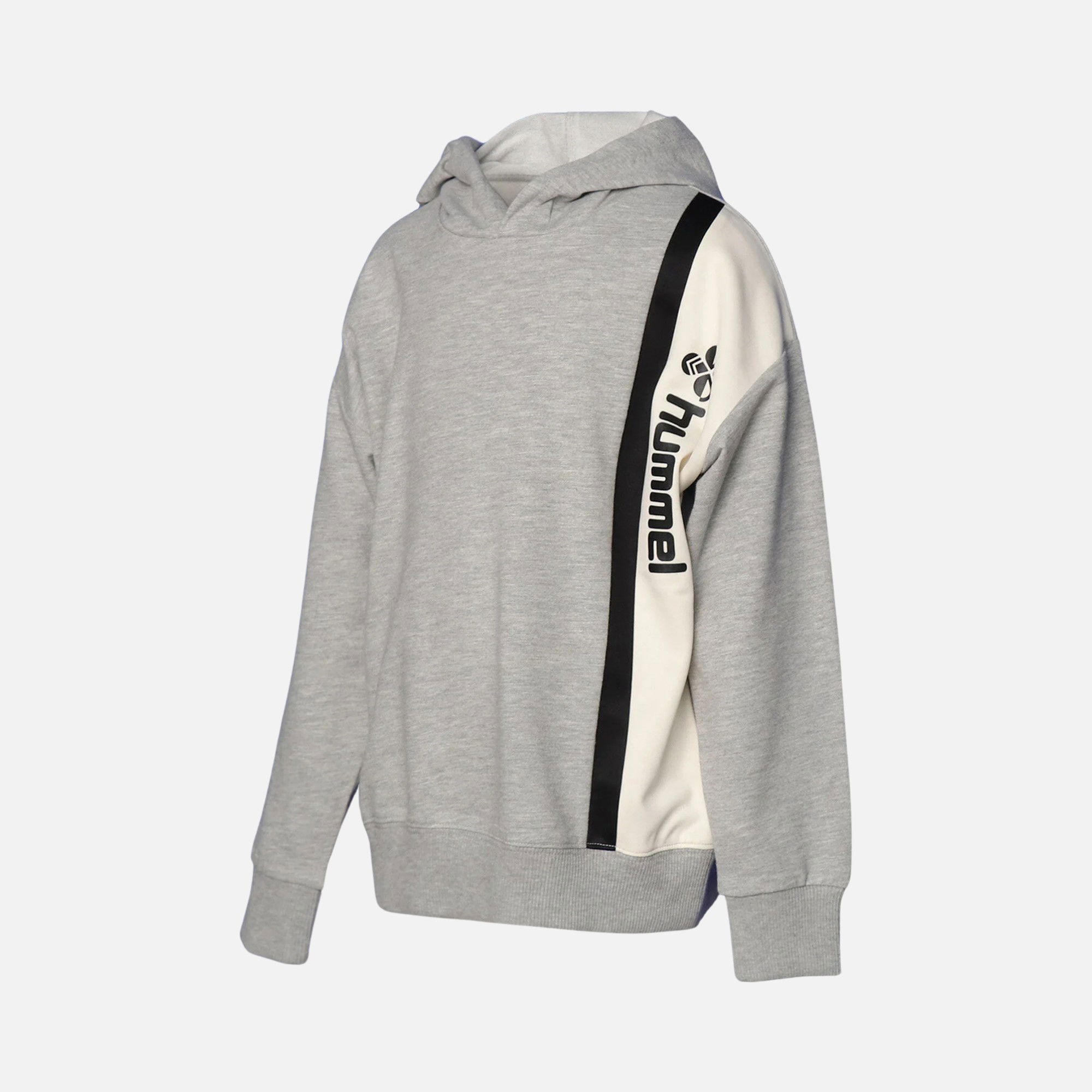 Hummel Sportswear Grayson Colorblock Hoodie (Boys') Çocuk Sweatshirt