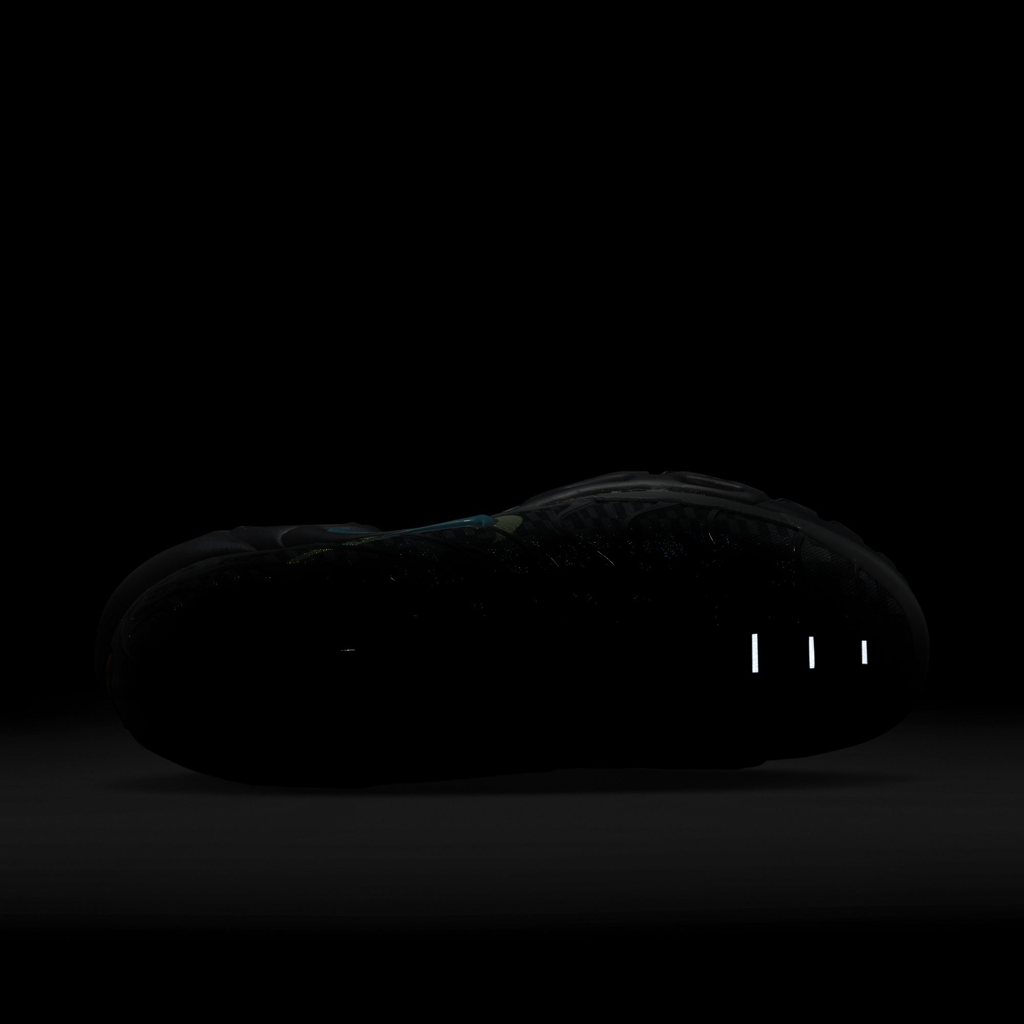 Nike Air Max Plus '21 Erkek Spor Ayakkabı