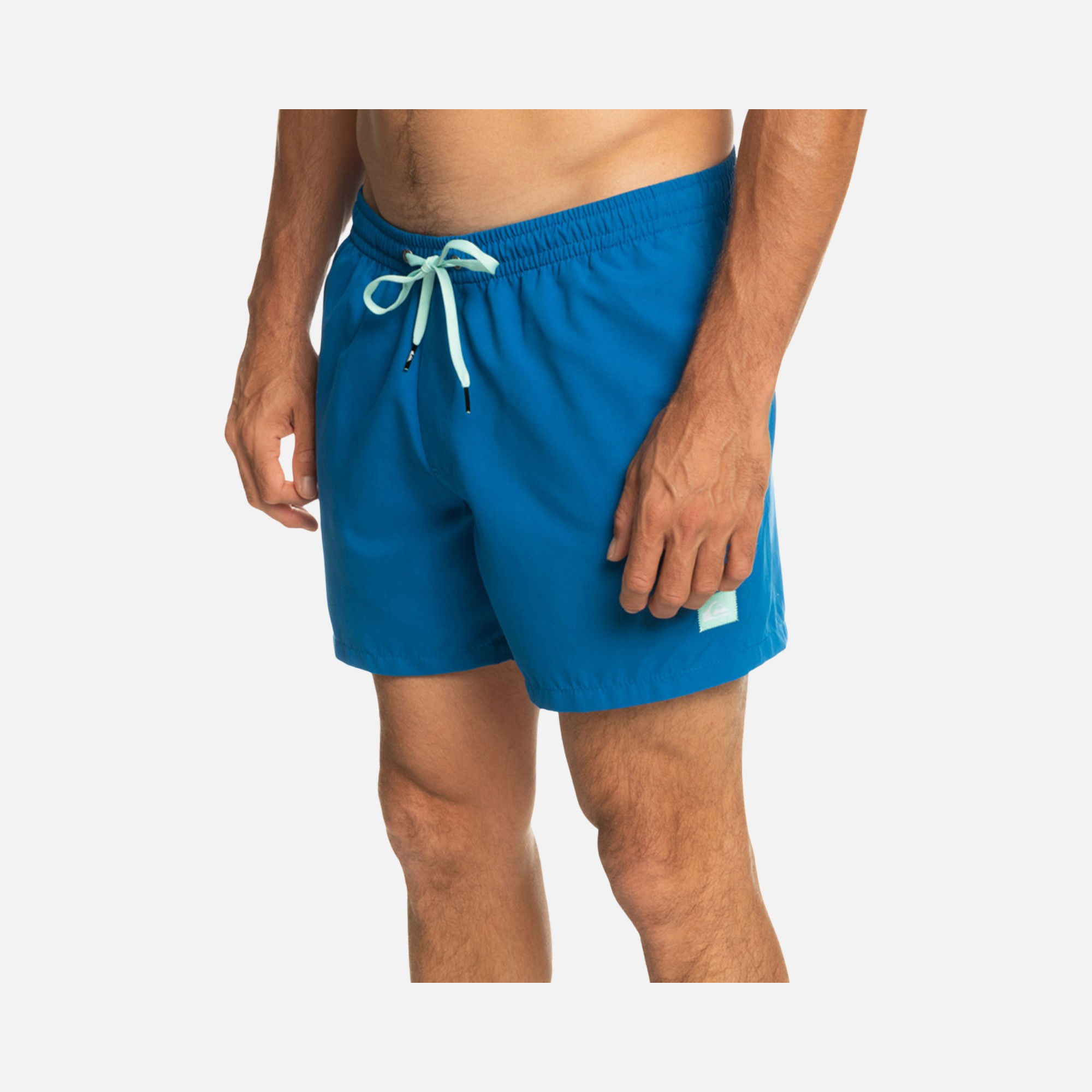 Quiksilver Everyday 15'' Erkek Şort Mayo