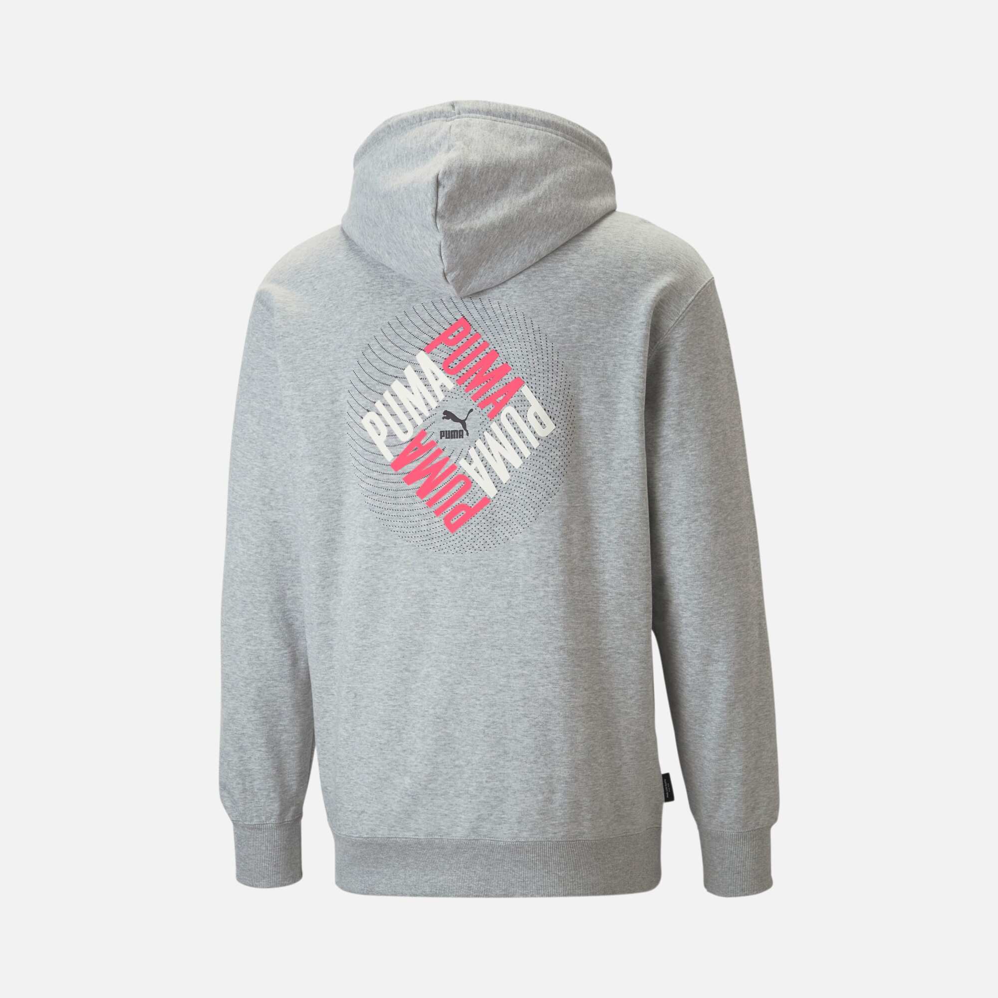 Puma SWxP Graphic Hoodie Erkek Sweatshirt
