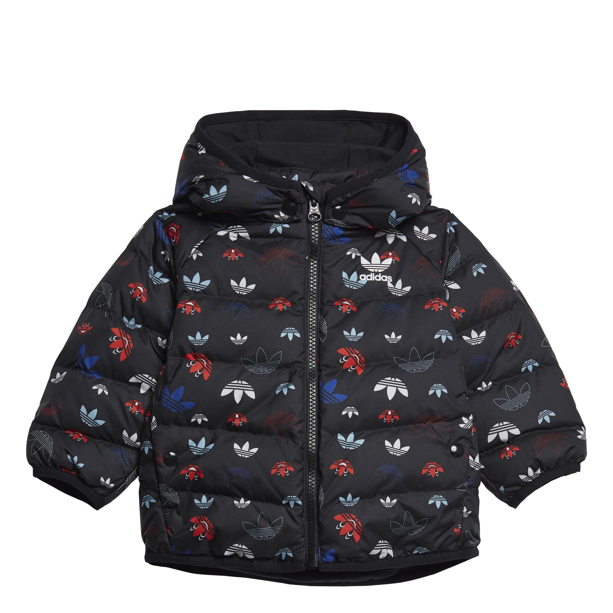 adidas Trefoil Down Hoodie Bebek Mont