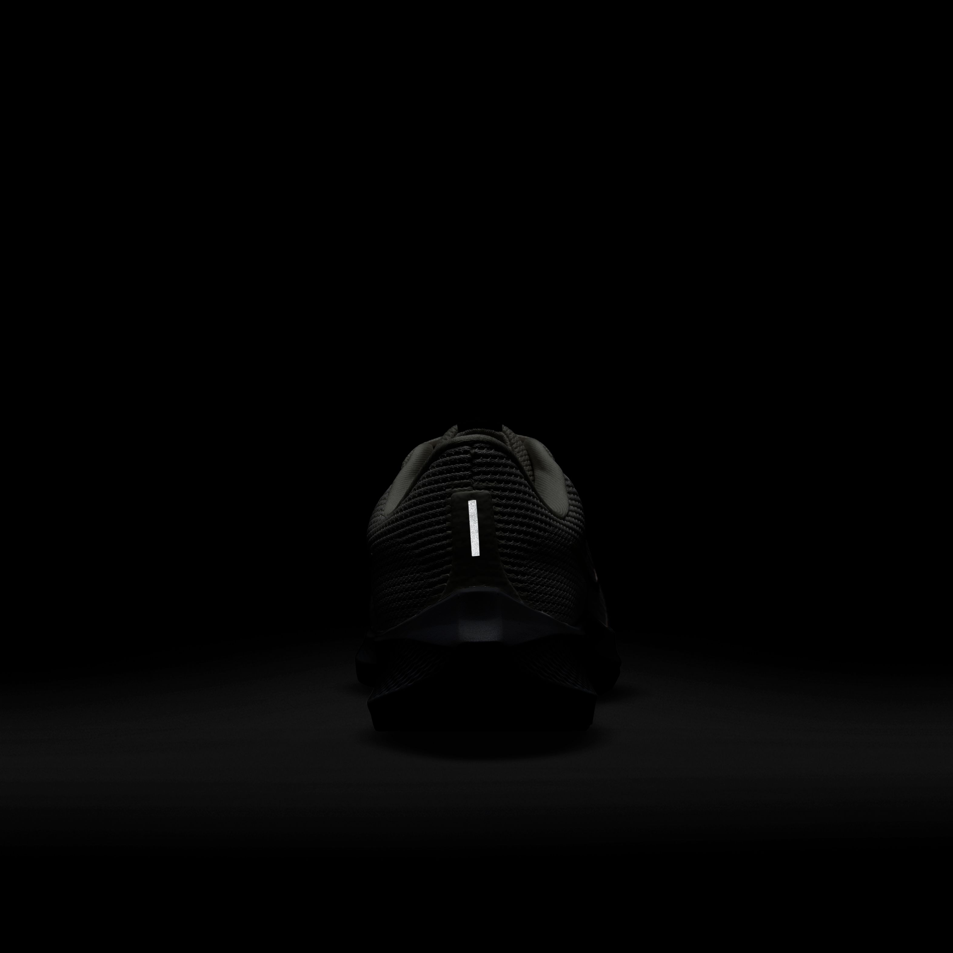 Nike Air Zoom Pegasus 40 Road Running Erkek Spor Ayakkabı