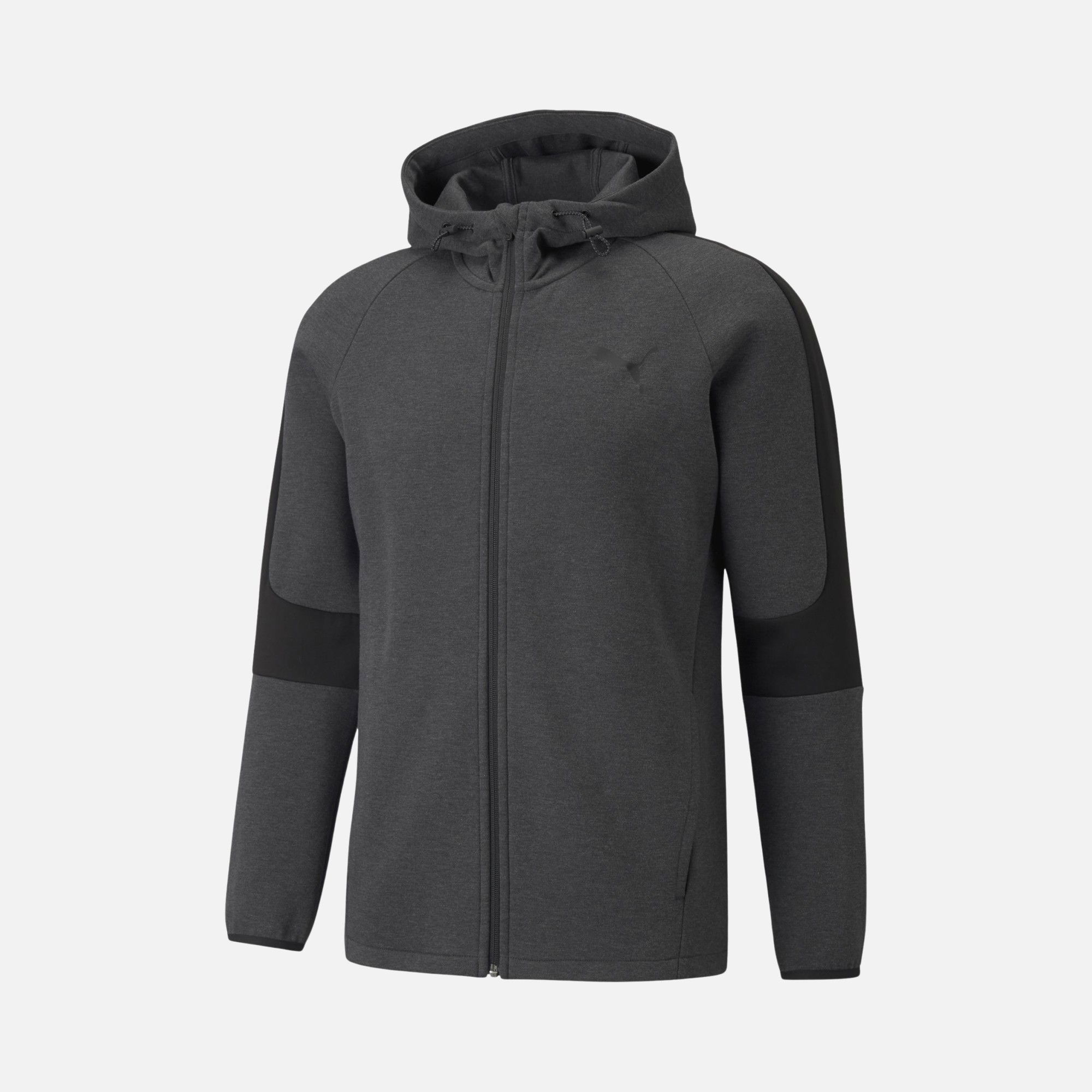 Puma Sportswear Evostripe Core Full-Zip Hoodie Erkek Sweatshirt