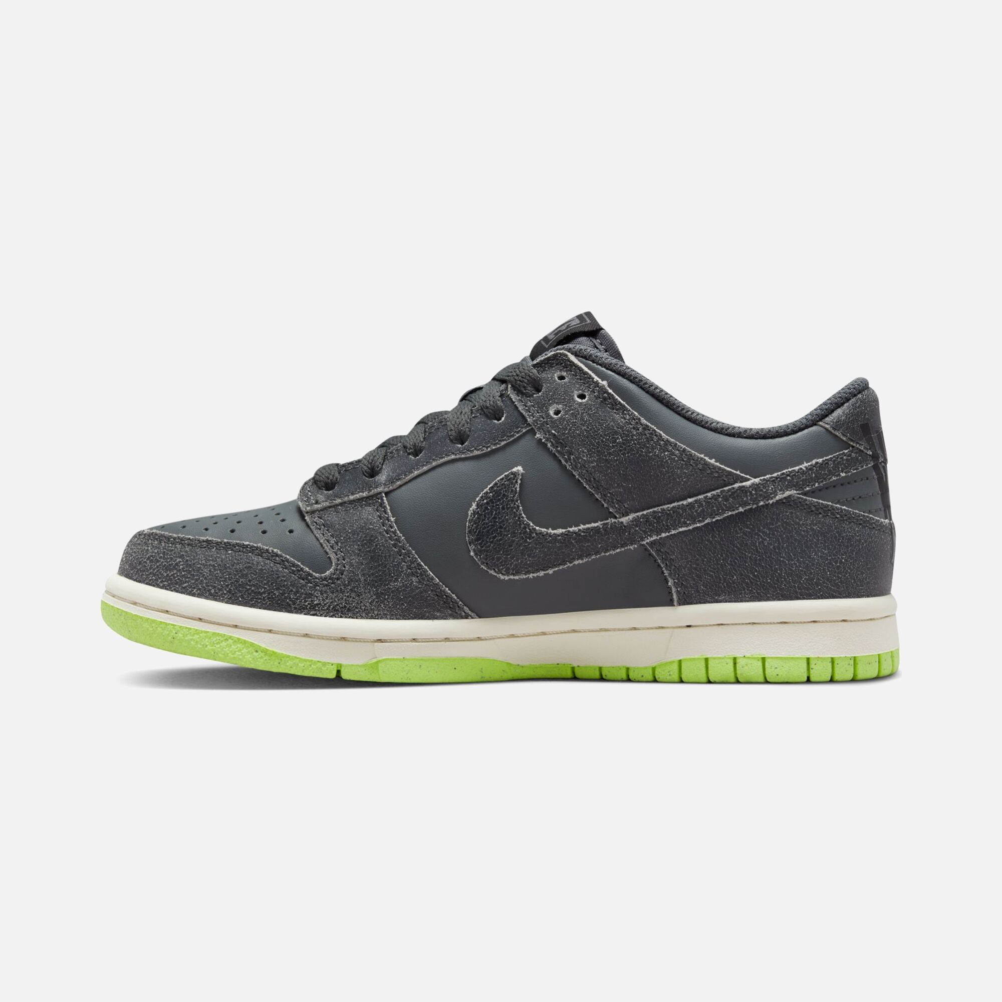 Nike Dunk Low SE FW22 (GS) Spor Ayakkabı