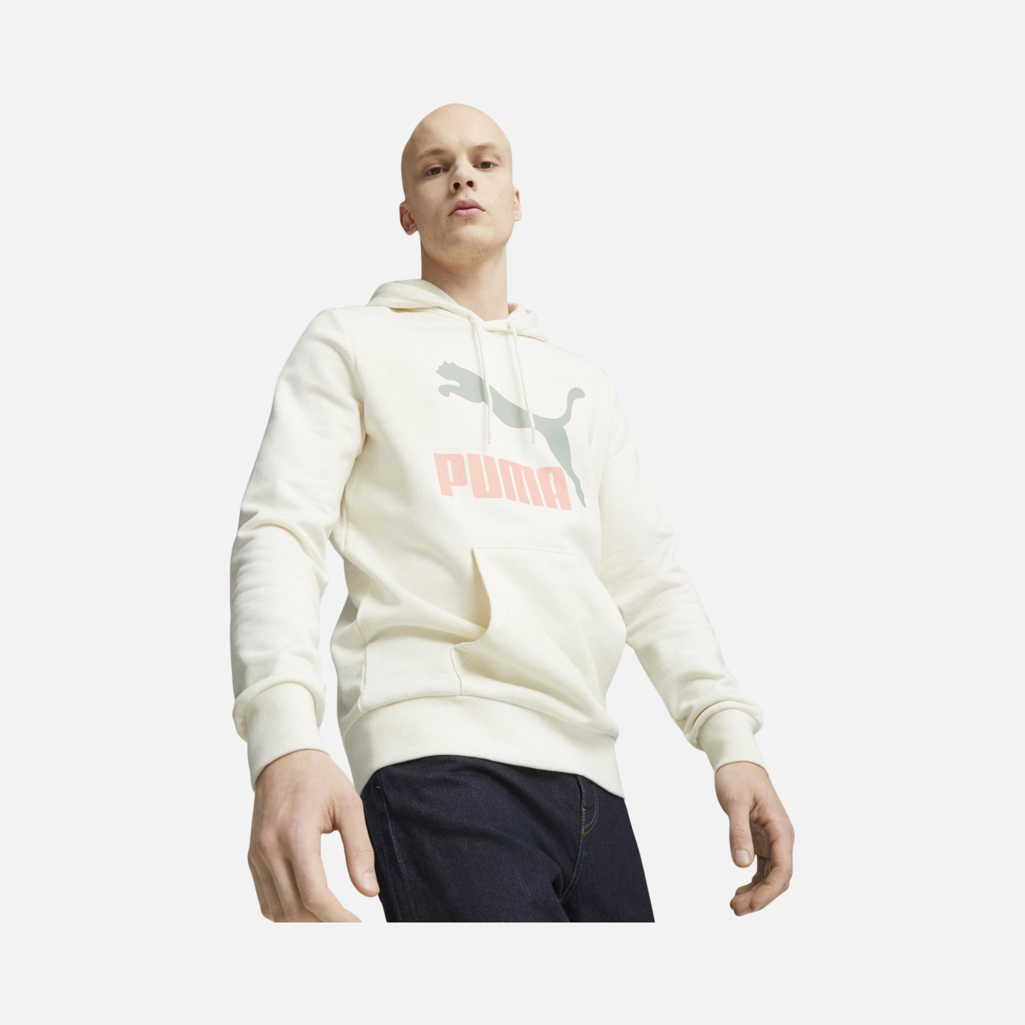 Puma Sportswear Classics Logo Hoodie Erkek Sweatshirt
