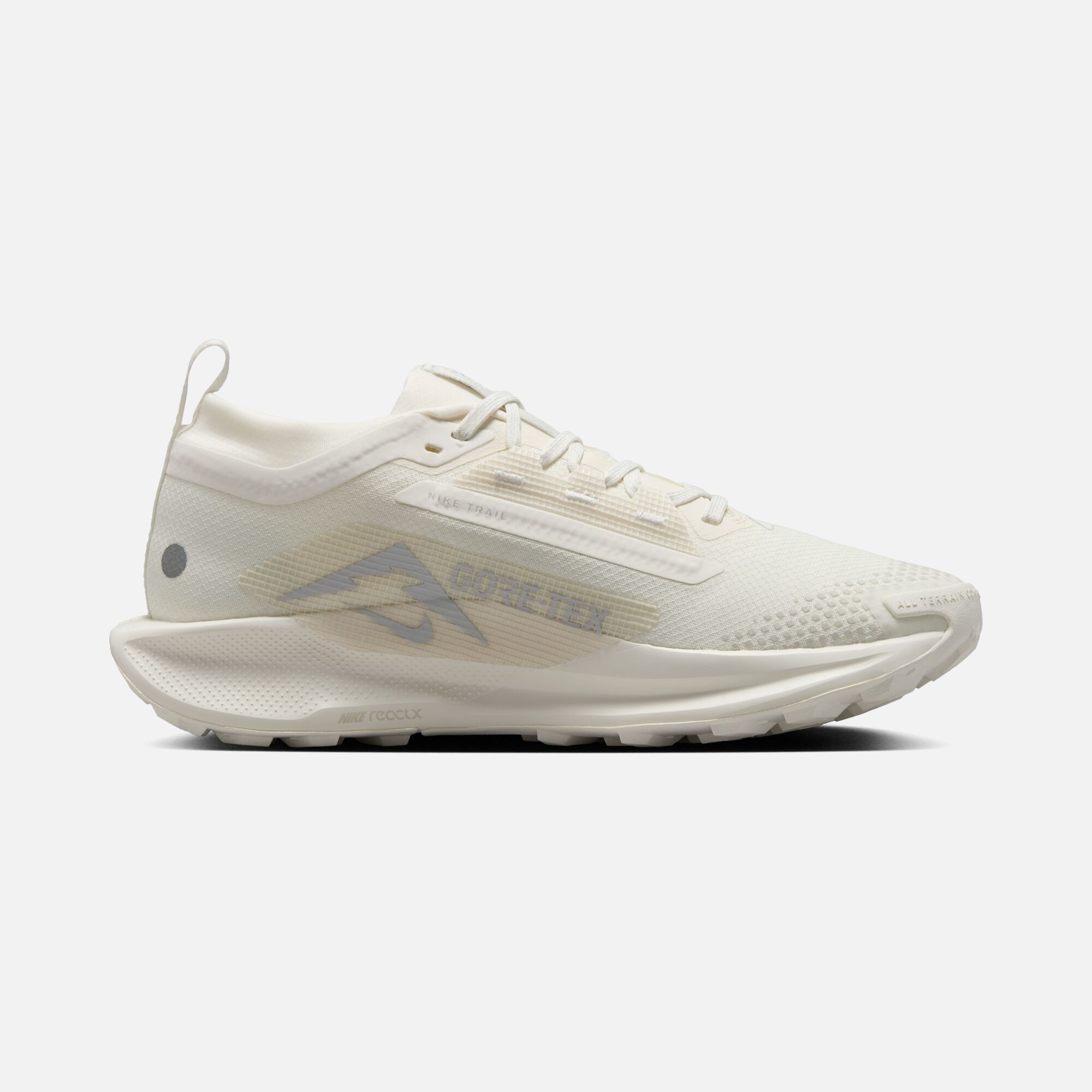 Nike Pegasus Trail 5 Gore-Tex Running Kadın Spor Ayakkabı