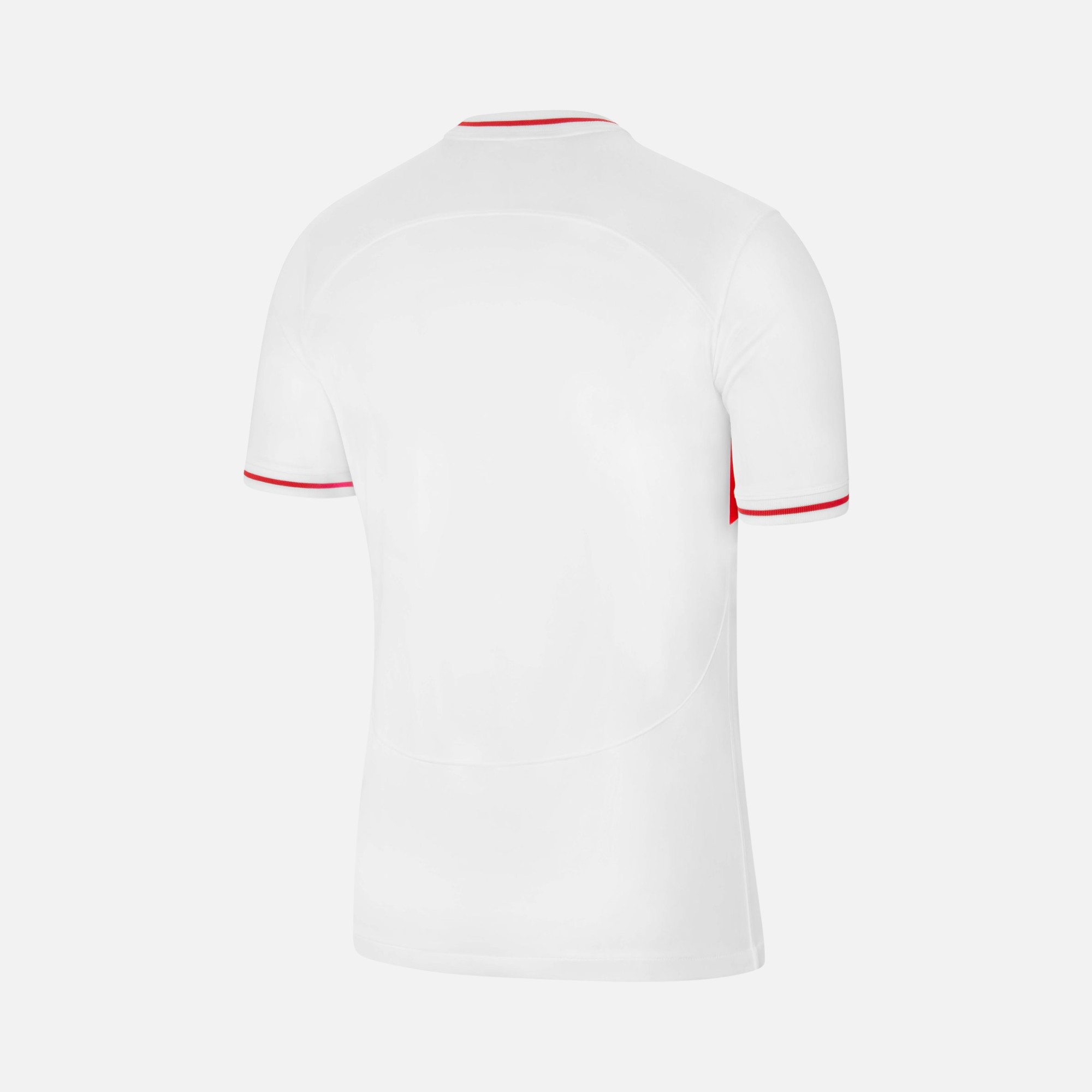 Nike Türkiye 2022-2023 İç Saha Erkek Forma