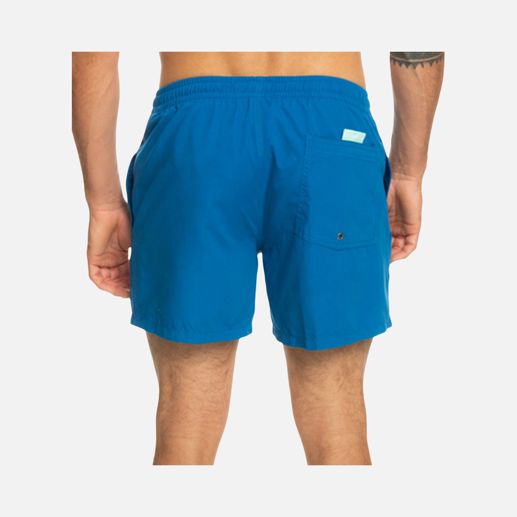 Quiksilver Everyday 15'' Erkek Şort Mayo