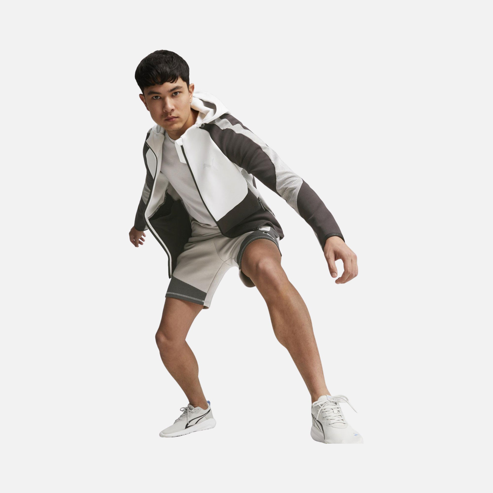 Puma Sportwear Evostripe Full-Zip Hoodie Erkek Sweatshirt