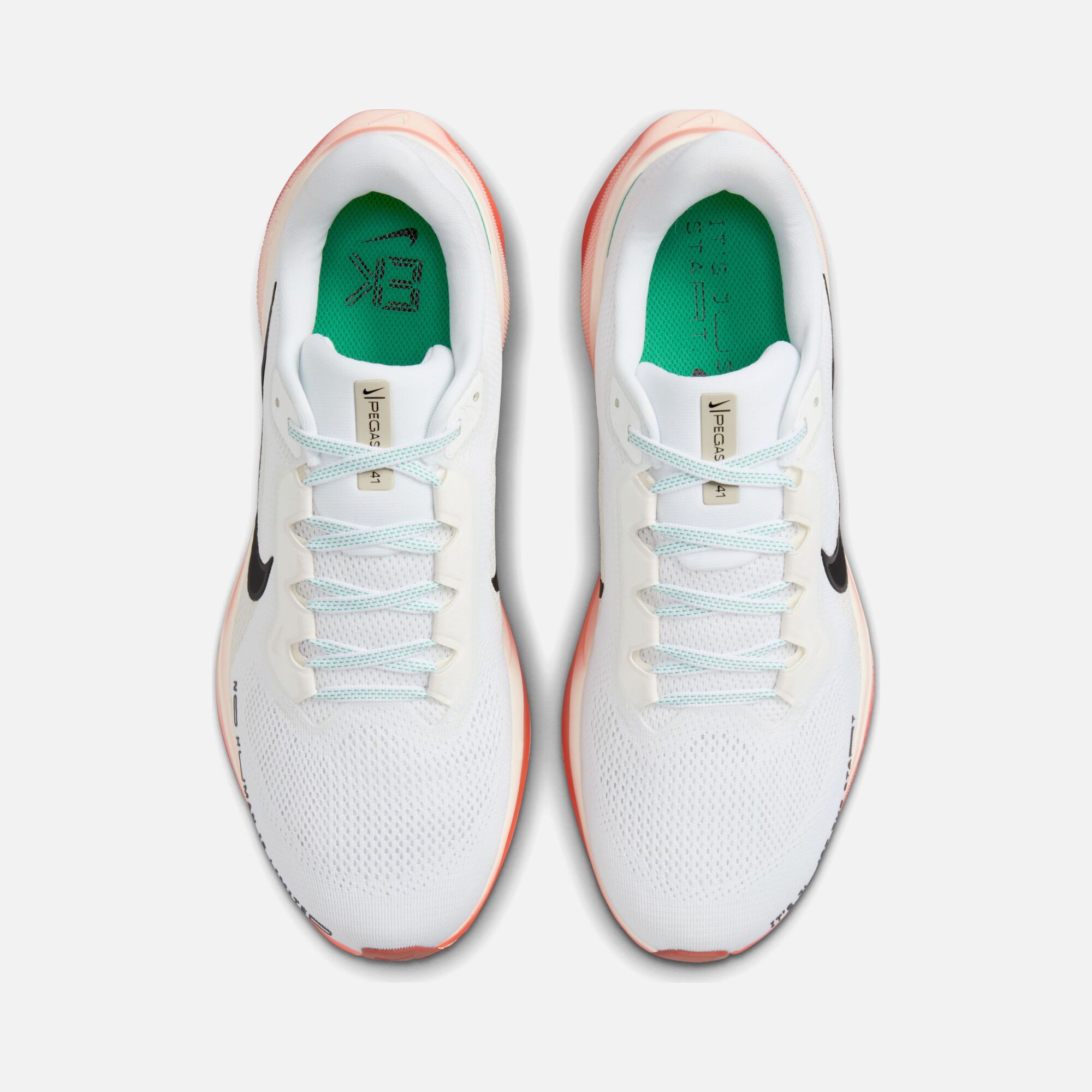 Nike Air Zoom Pegasus 41 Eliud Kipchoge ''It's Just The Start'' Running Erkek Spor Ayakkabı
