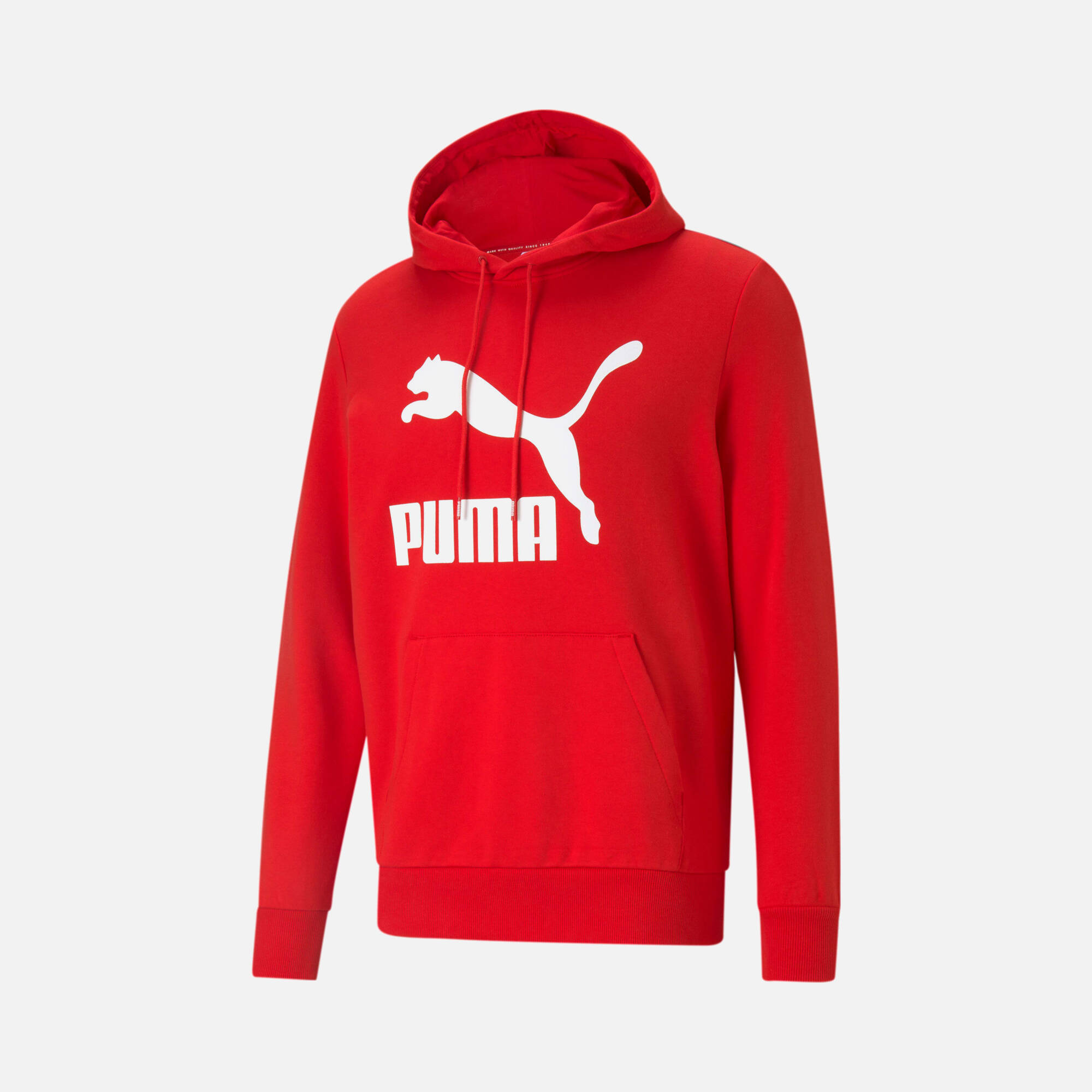 Puma Sportswear Classics Graphic Logo Hoodie Erkek Sweatshirt
