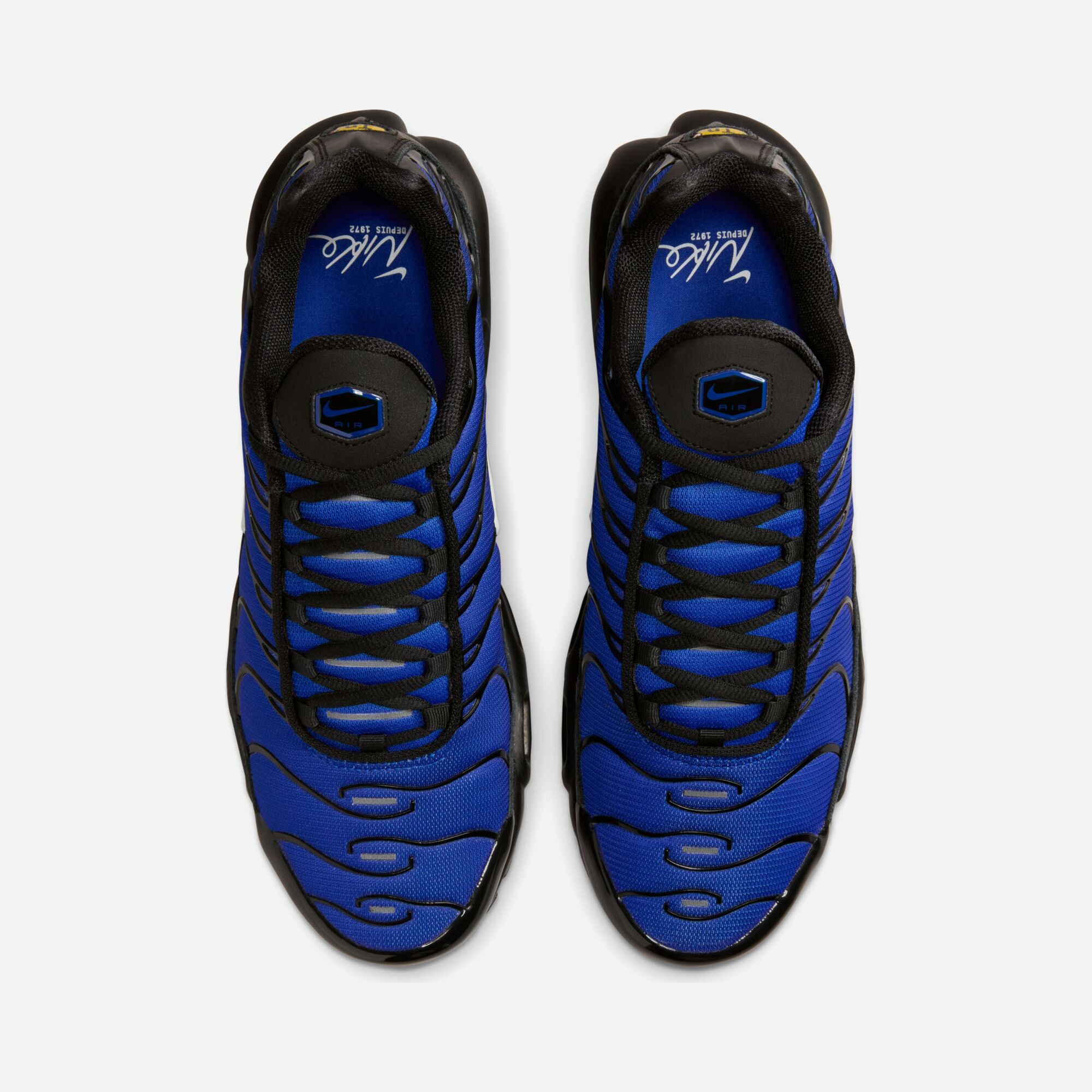 Nike Air Max Plus Premium FW24 Erkek Spor Ayakkabı