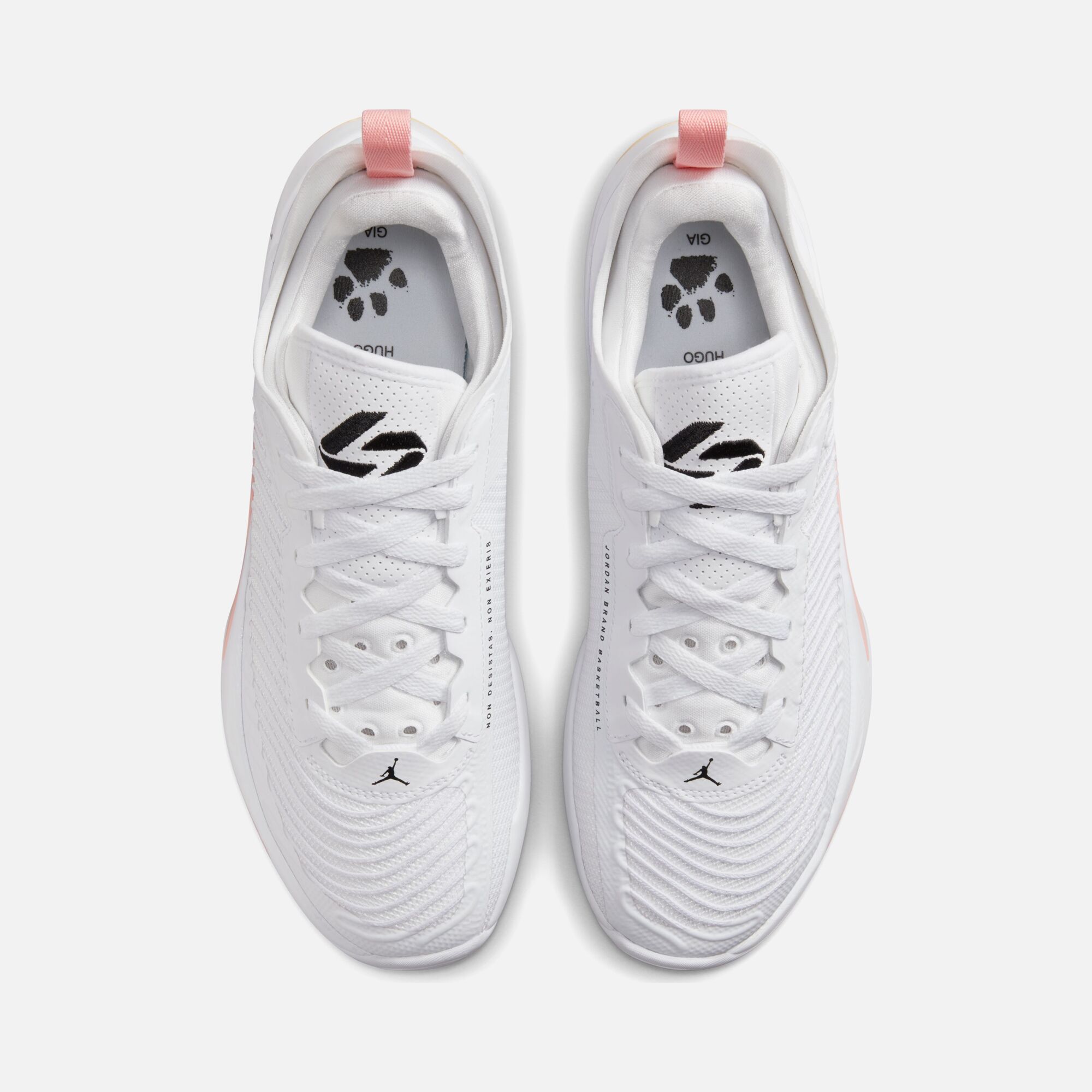 Nike Jordan Luka Doncic 1 Erkek Basketbol Ayakkabısı