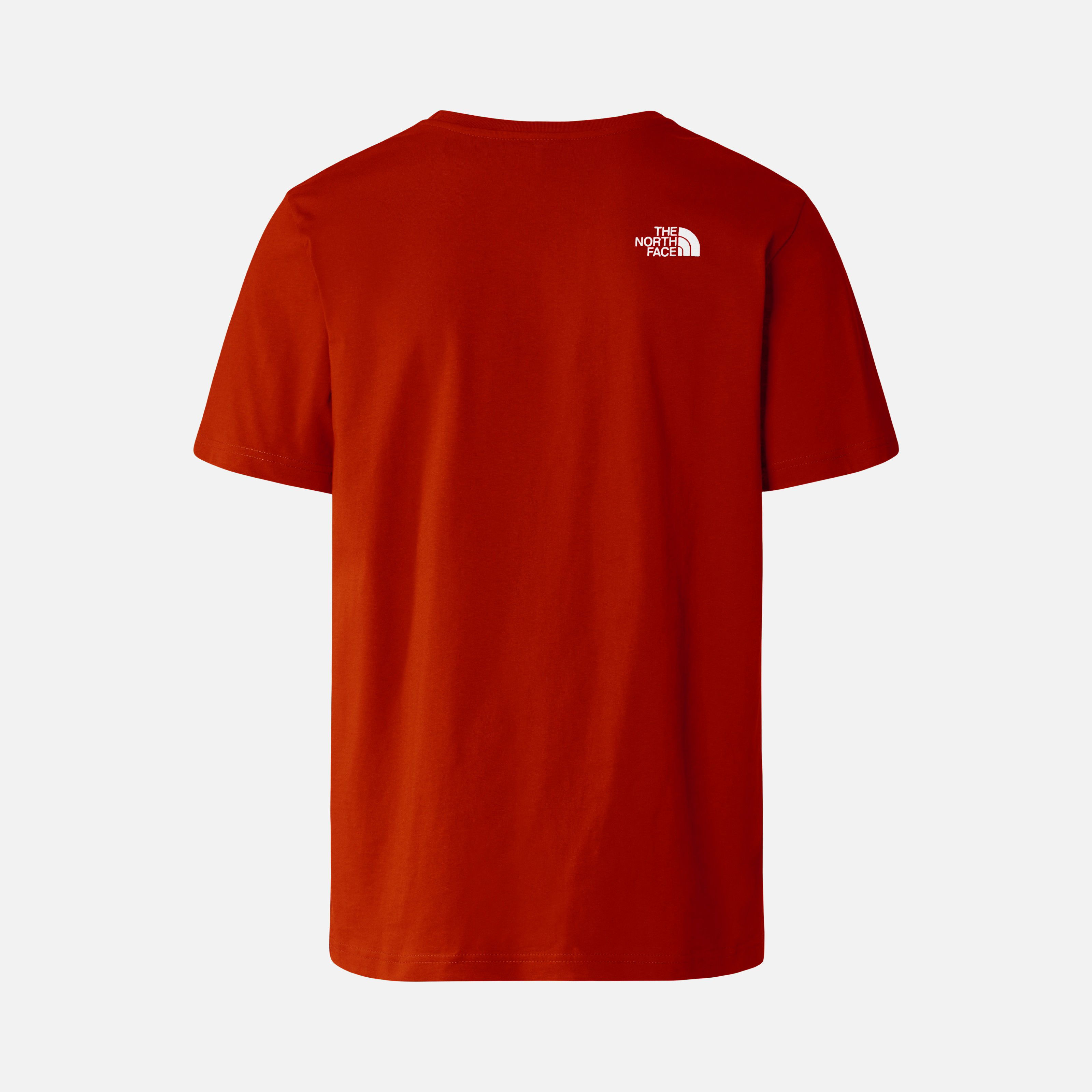 North Face  Rust 2 Never Stop Exploring Graphic Short-Sleeve Erkek Tişört