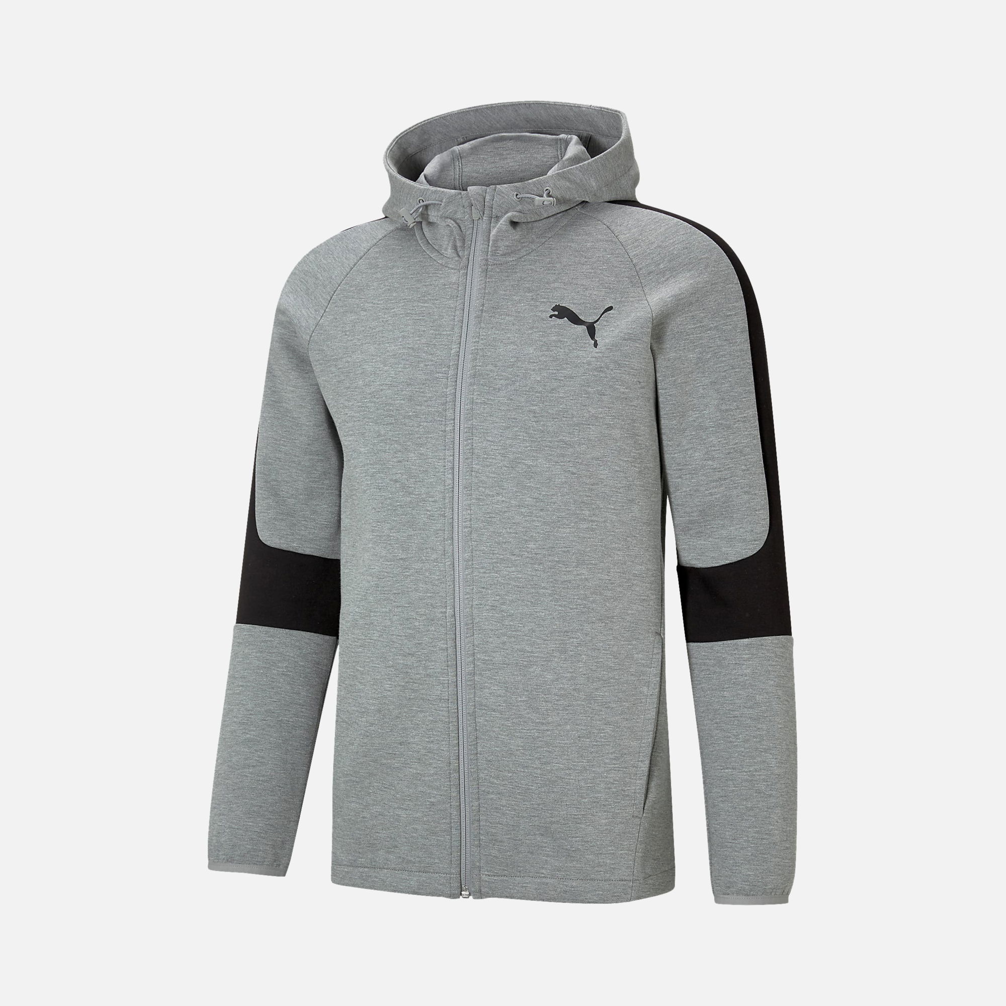 Puma Sportswear Evostripe Core Full-Zip Hoodie Erkek Sweatshirt