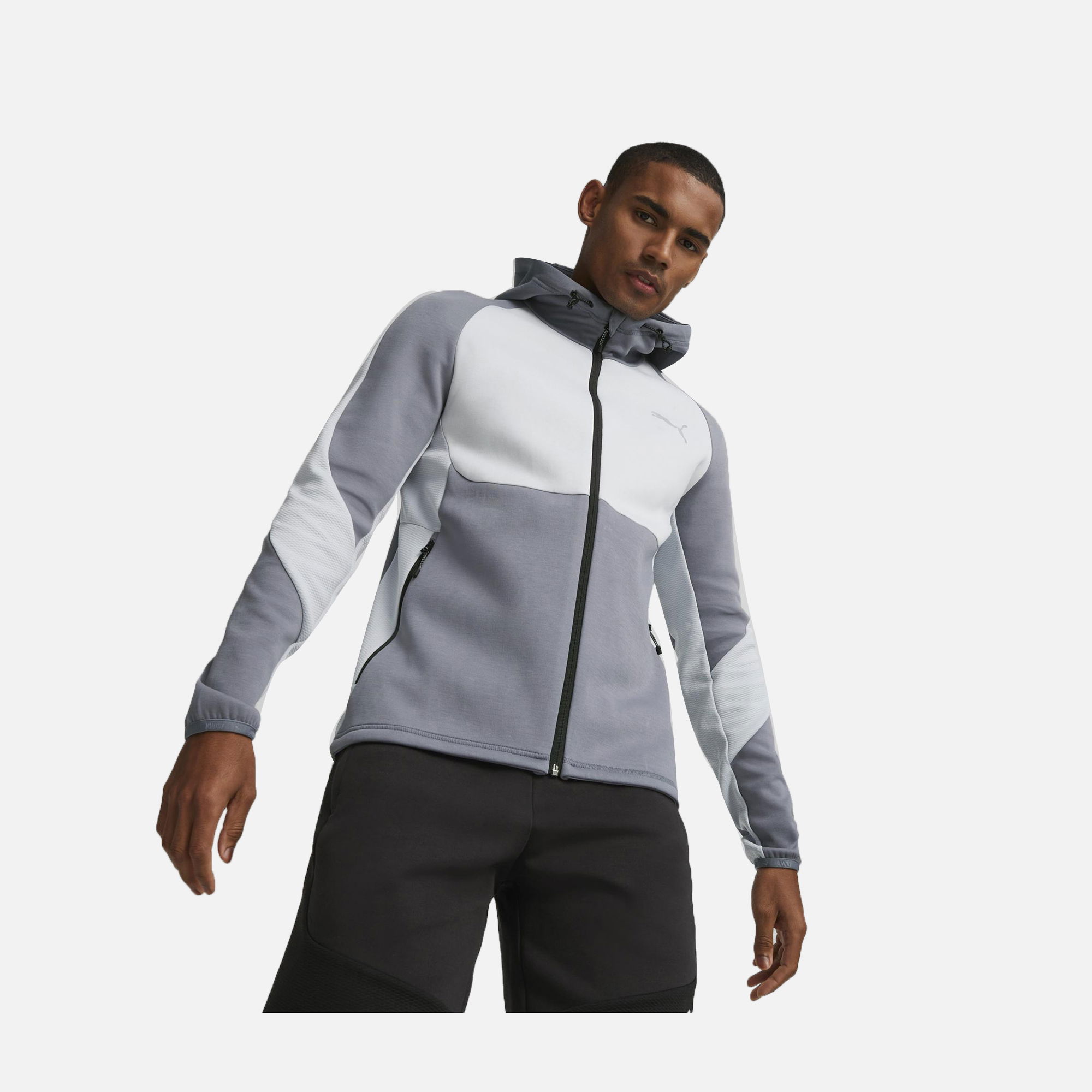 Puma Sportswear Evostripe SS23 Full-Zip Hoodie Erkek Sweatshirt