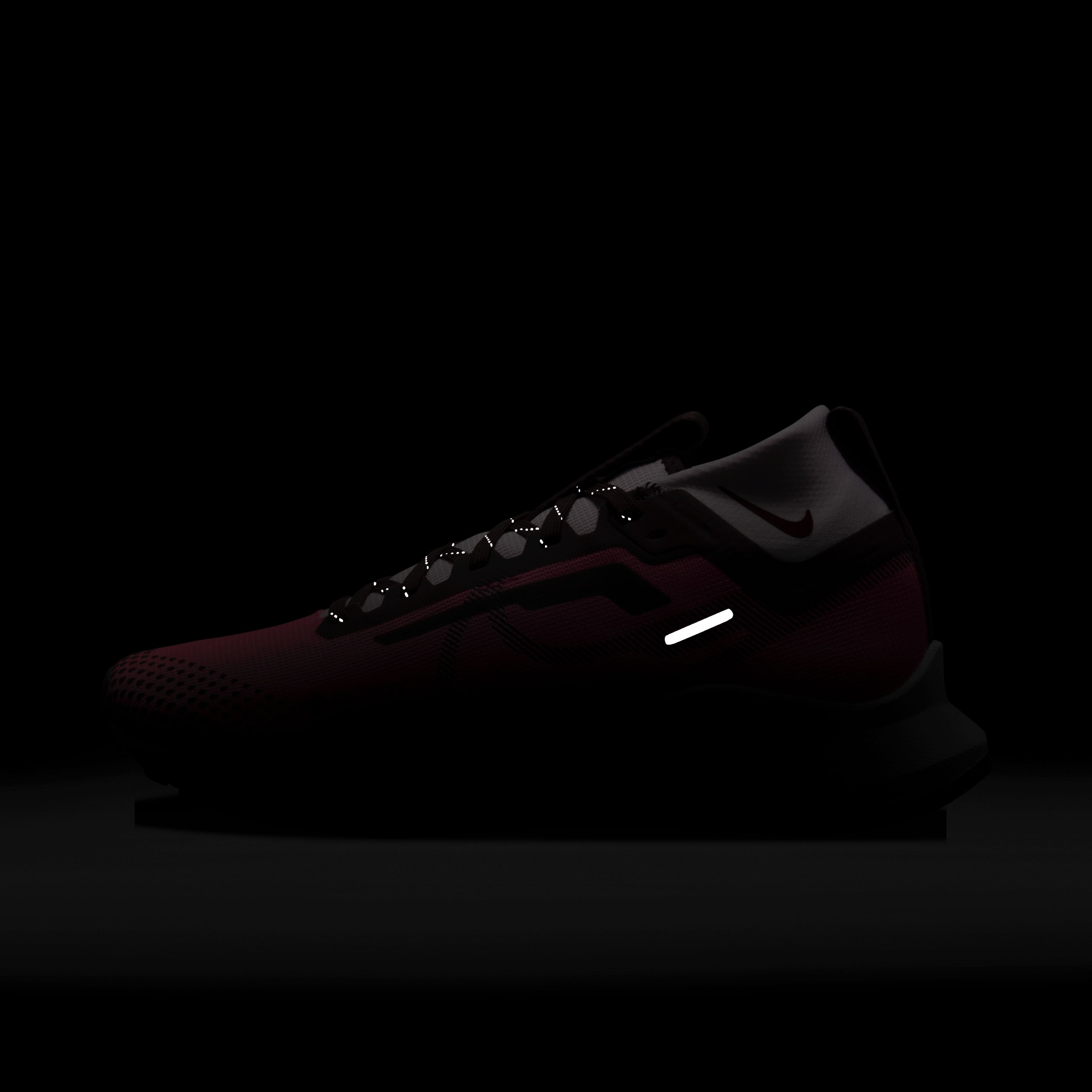 Nike Pegasus Trail 4 Gore-Tex Trail-Running FA23 Kadın Spor Ayakkabı