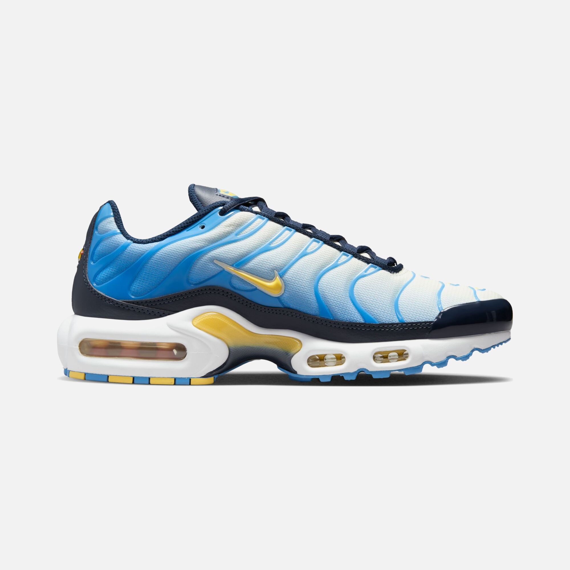 Nike Air Max Plus TN SP23 Kadın Spor Ayakkabı