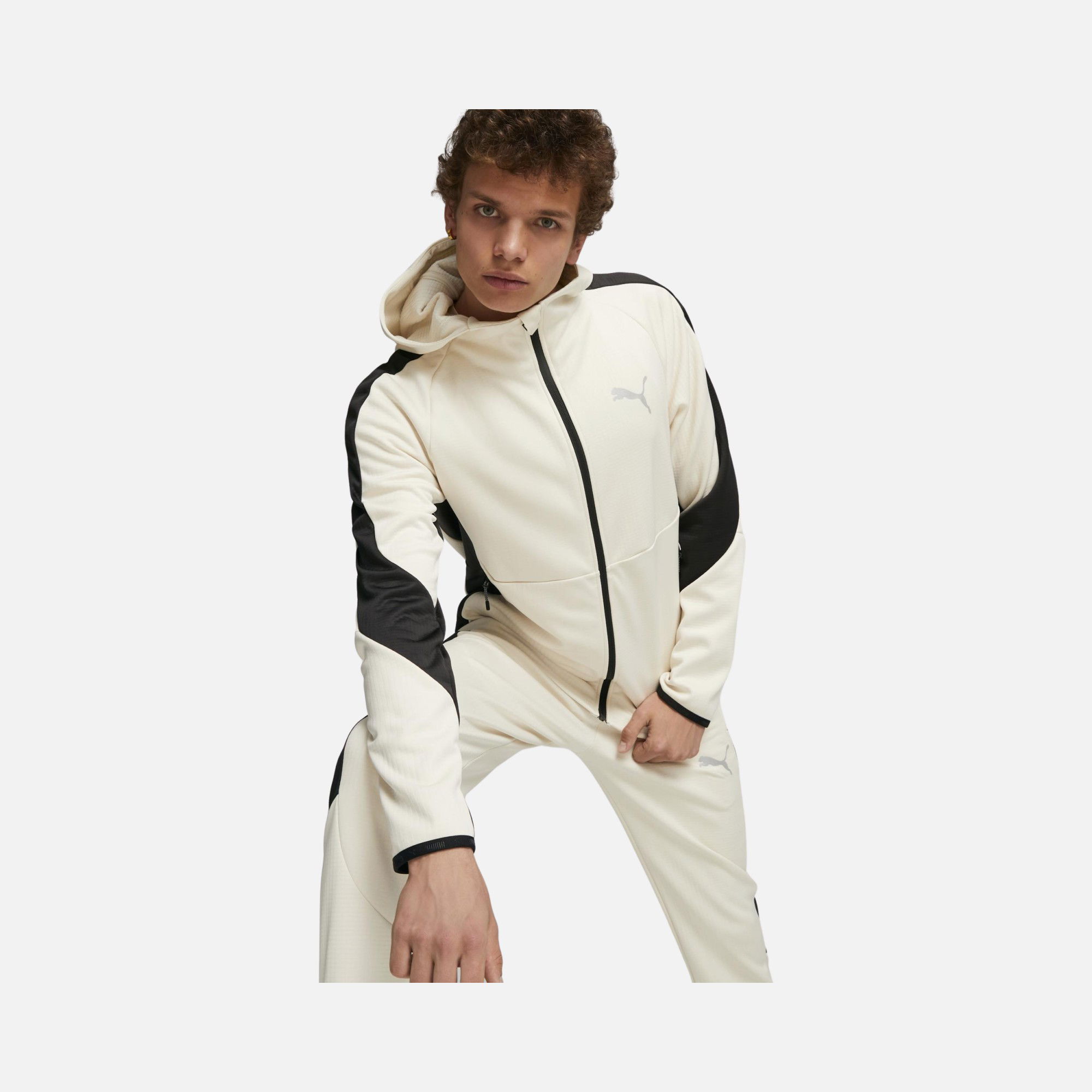 Puma Evostripe Warm Full-Zip Hoodie Erkek Sweatshirt
