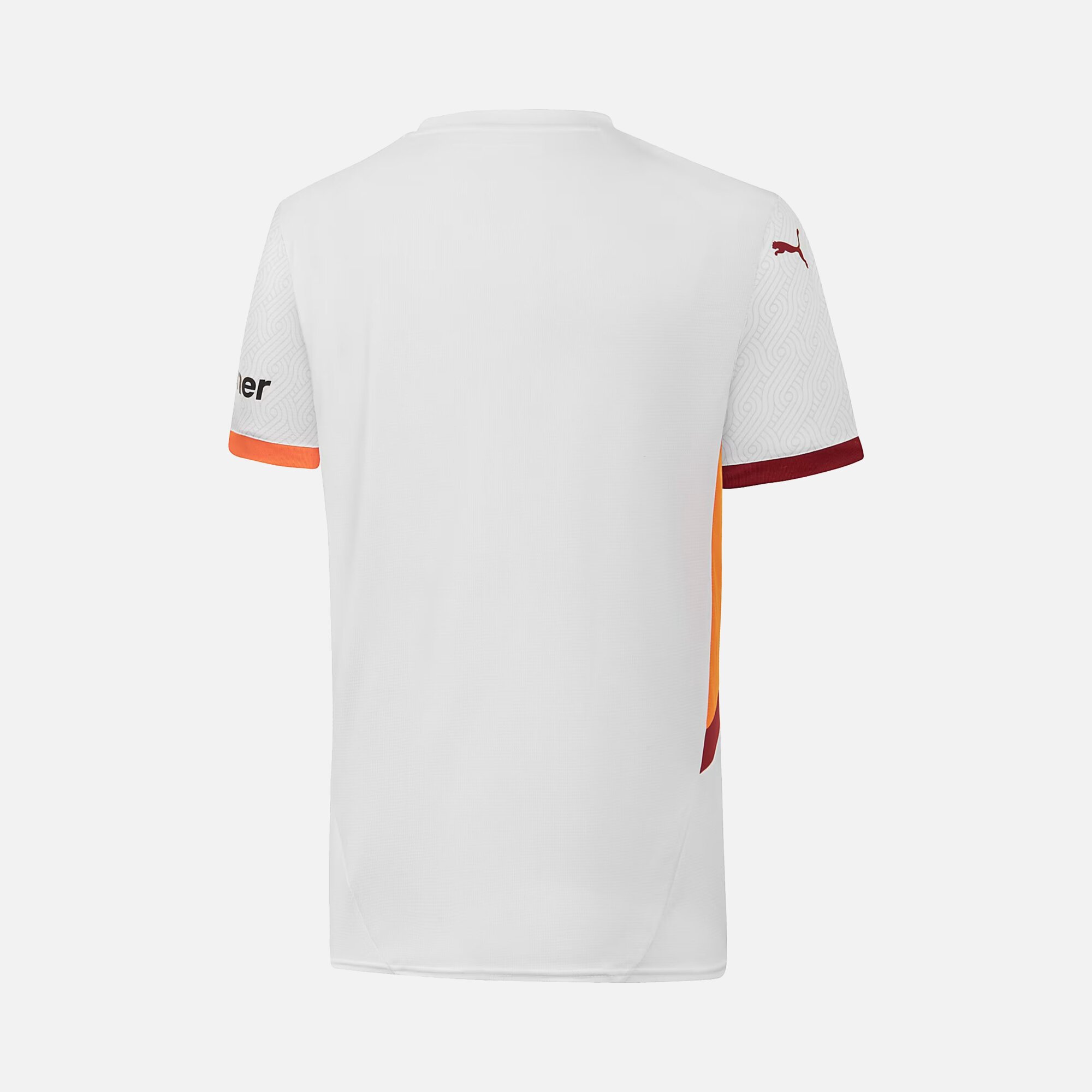 Puma Galatasaray 2024-2025 Stadium Deplasman Erkek Forma