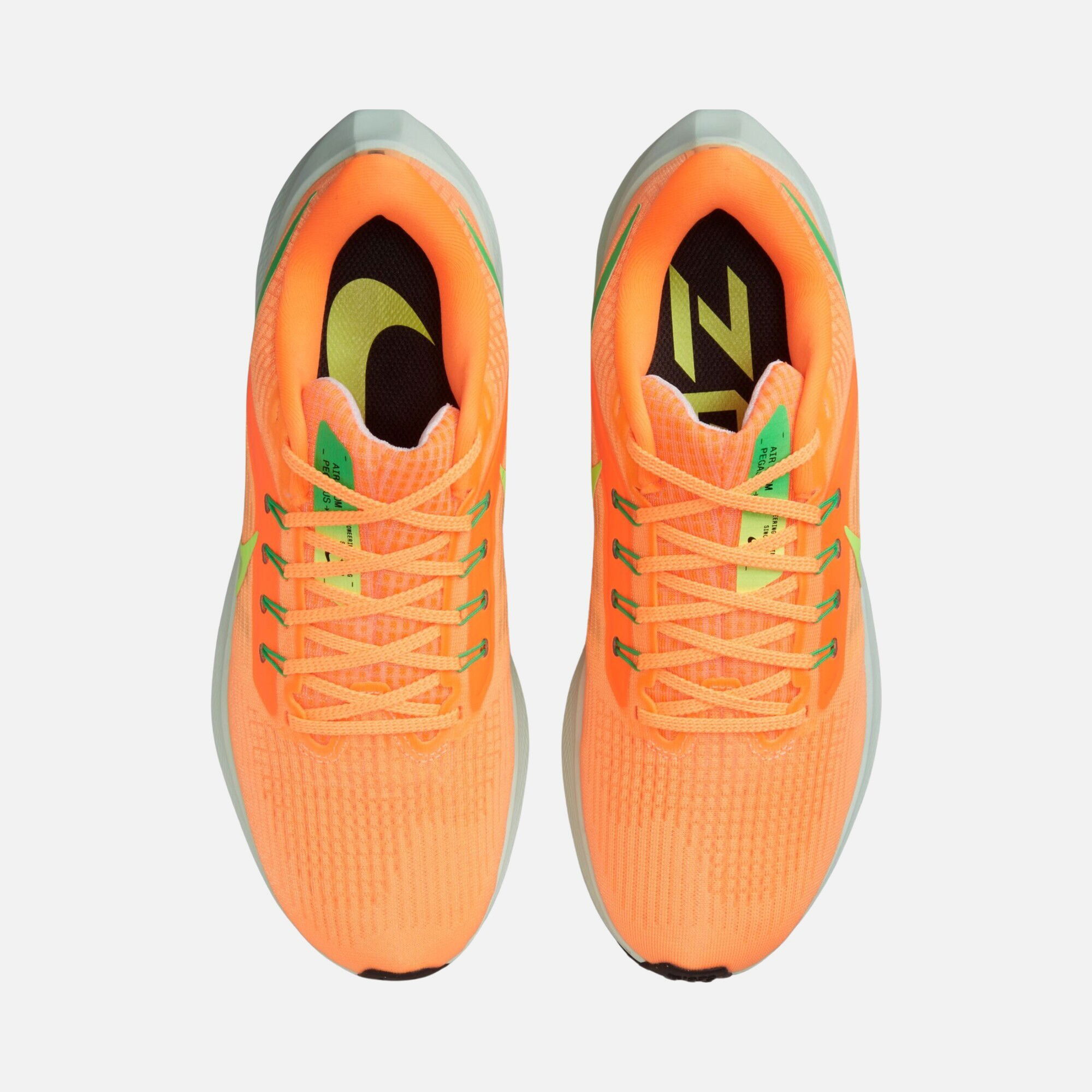 Nike Air Zoom Pegasus 39 Road Running Kadın Spor Ayakkabı