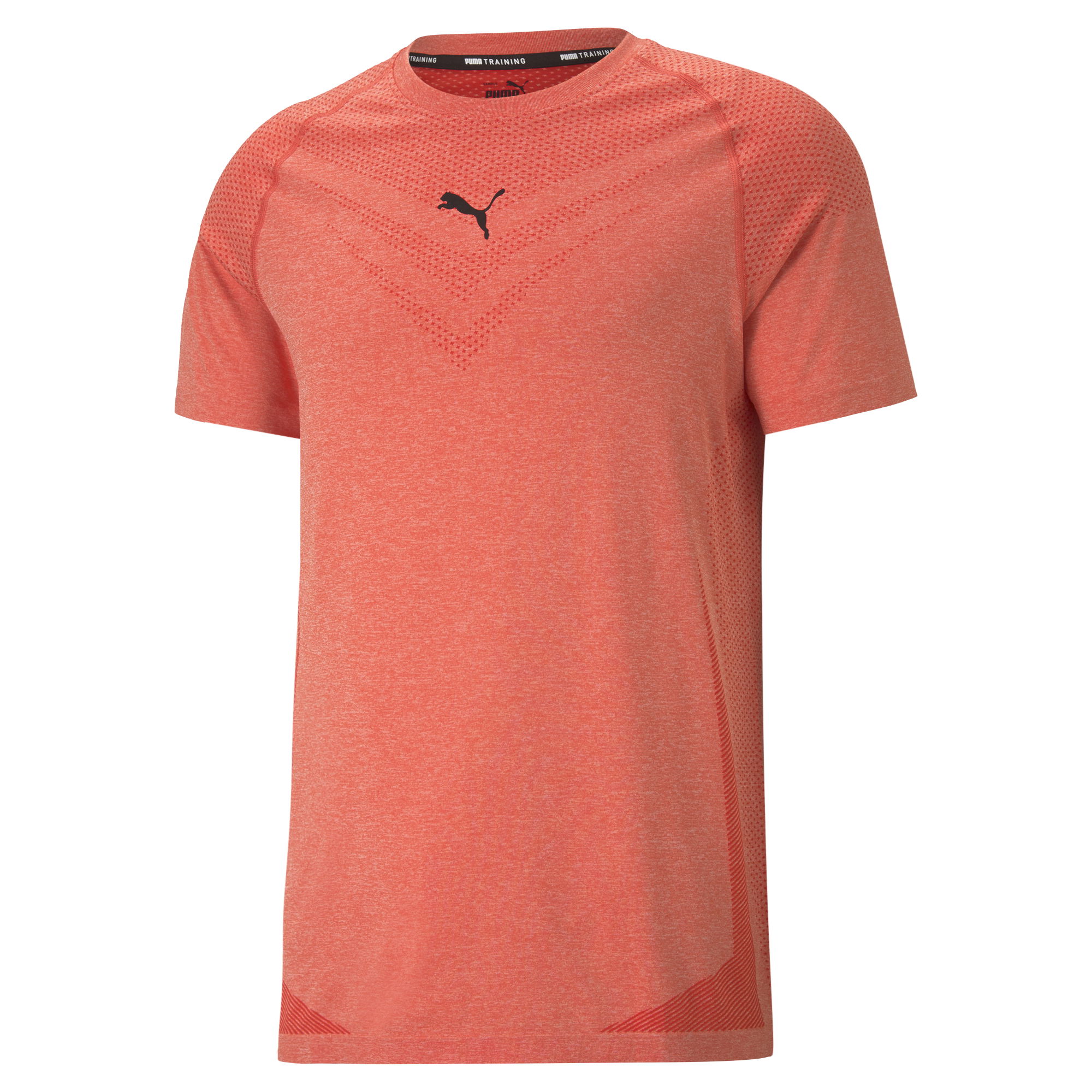 Puma evoKNIT Tech Training Short-Sleeve Erkek Tişört