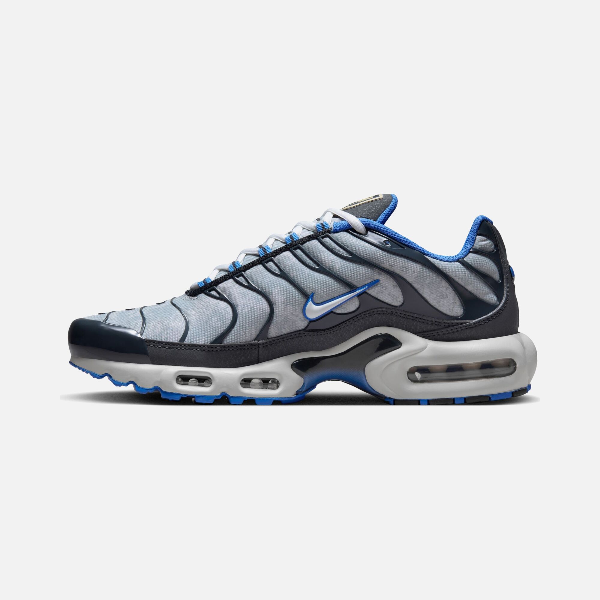 Nike Air Max Plus SE Erkek Spor Ayakkabı