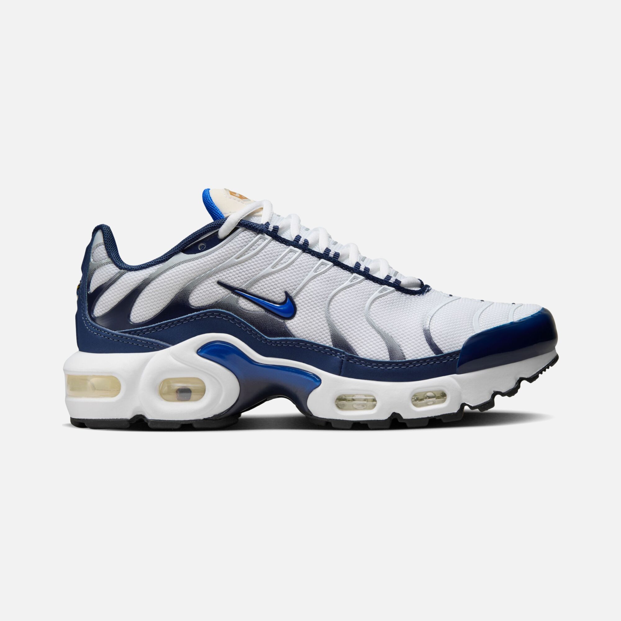 Nike Air Max Plus (GS) Spor Ayakkabı