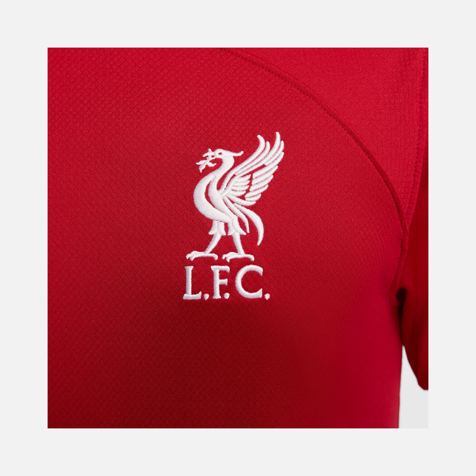 Nike Liverpool F.C. 2023-2024 Stadium İç Saha Erkek Forma