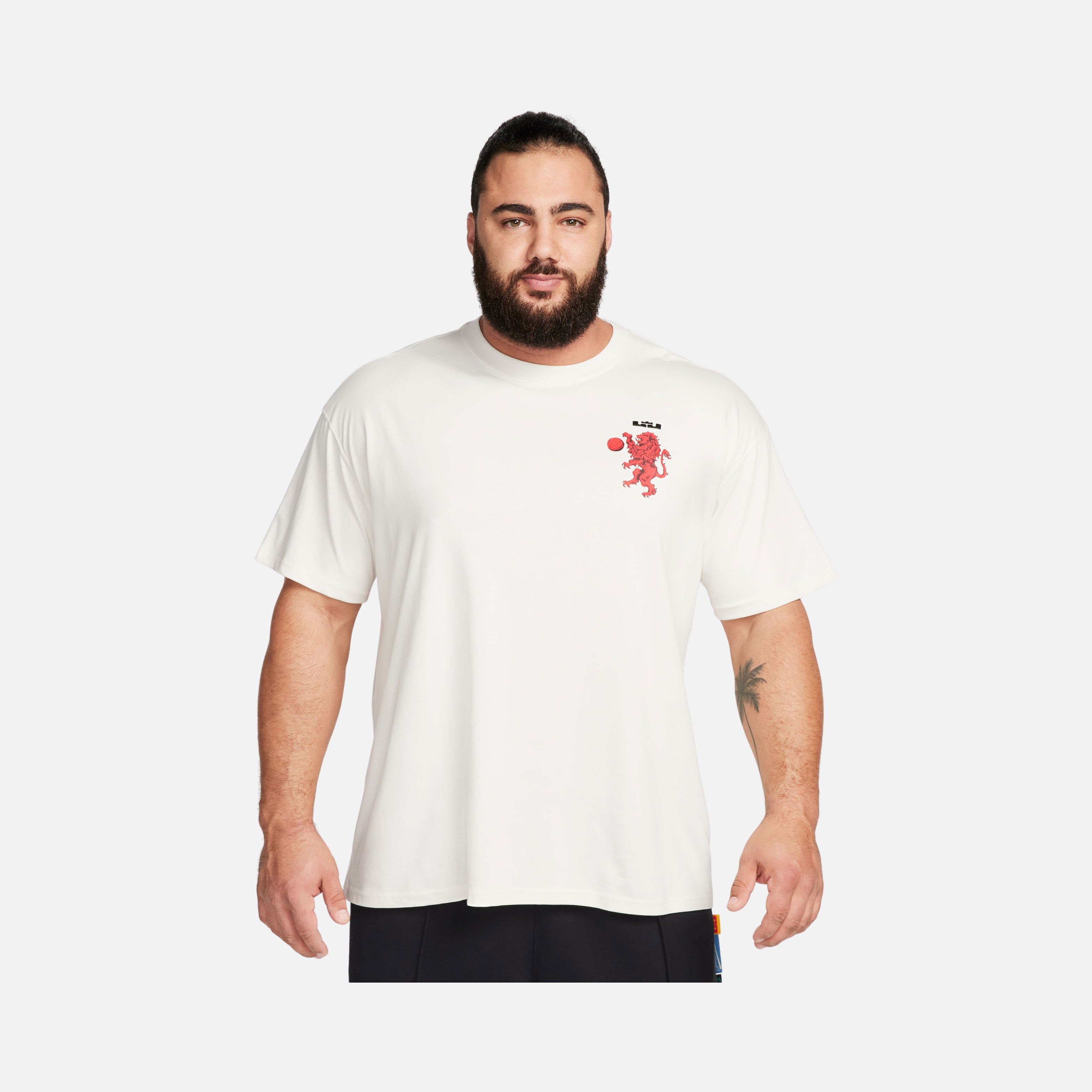 Nike LeBron James M90 Short-Sleeve Erkek Tişört