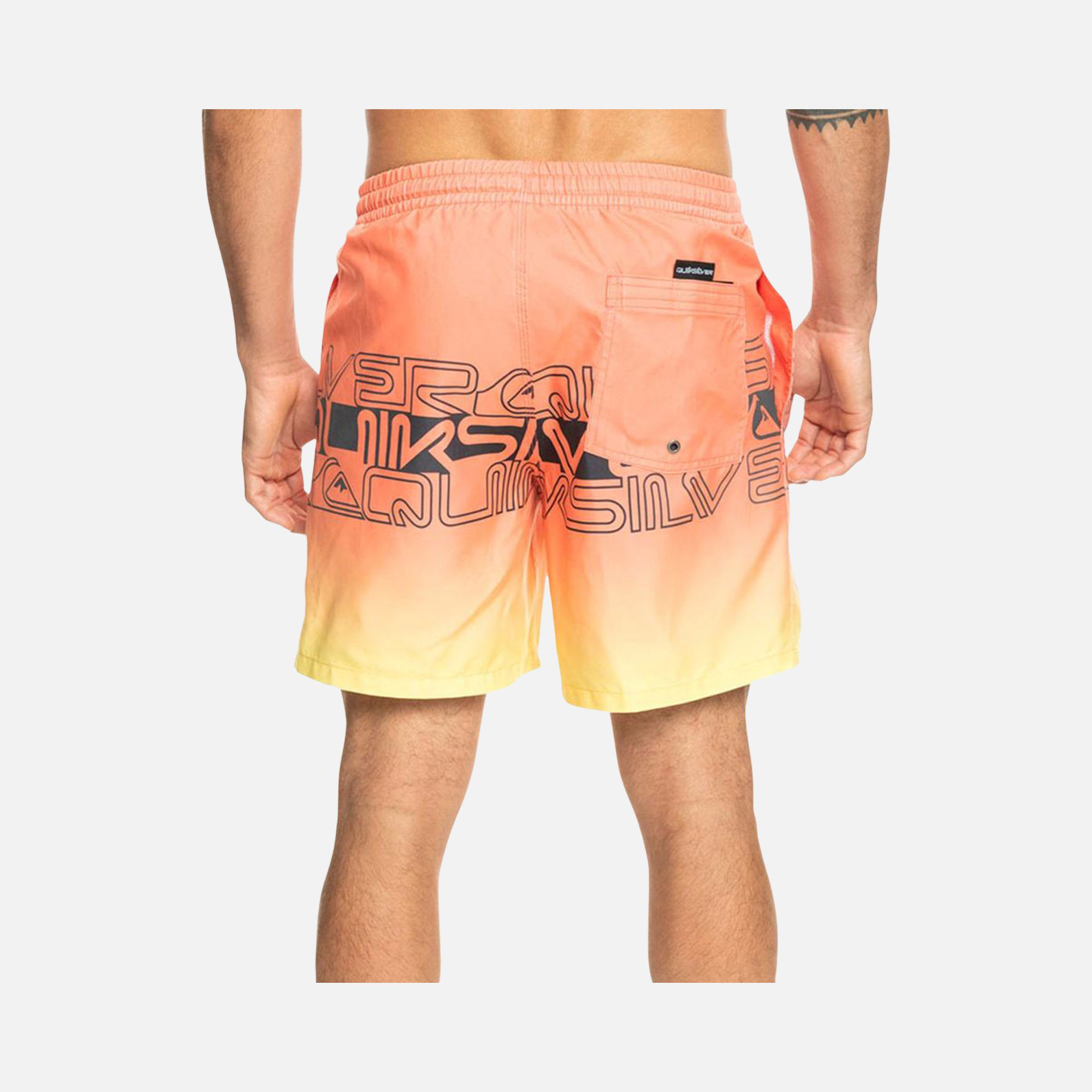 Quiksilver Wordblock 17'' Jamv Erkek Şort Mayo