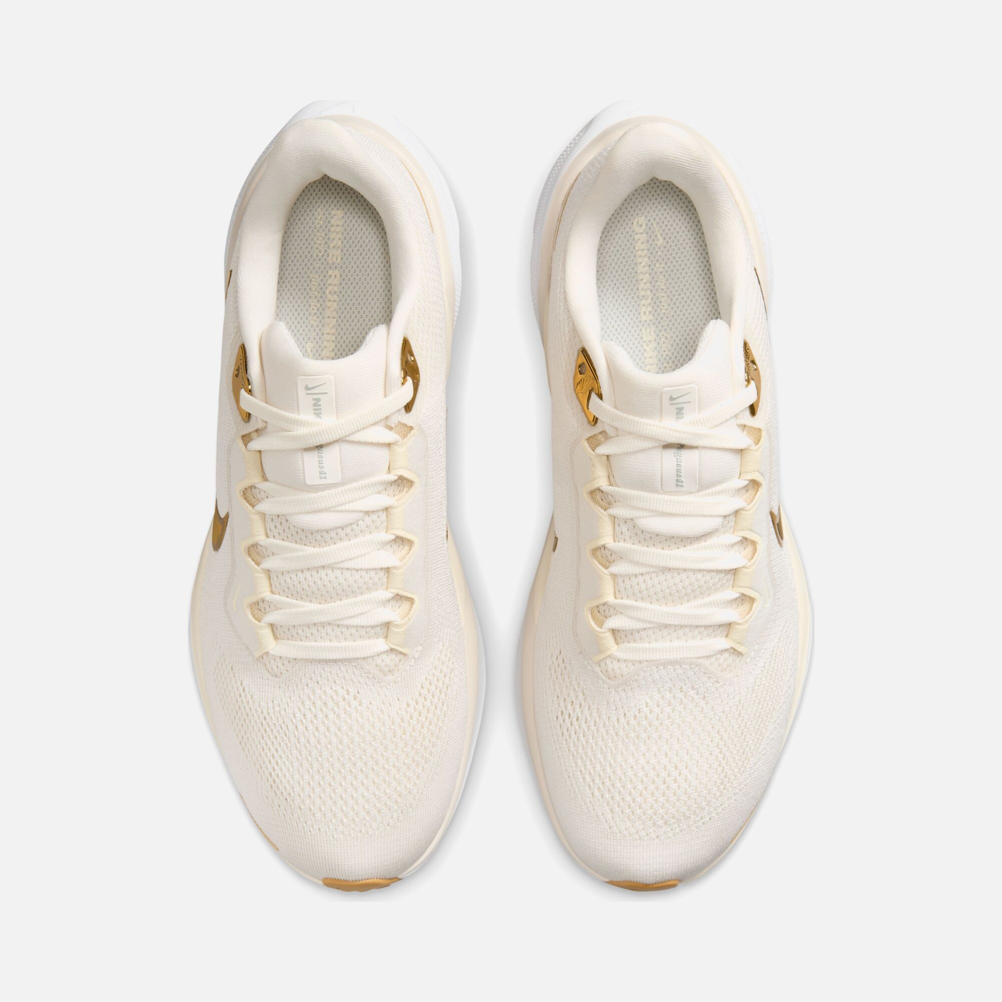 Nike Air Zoom Pegasus 41 Road Running Kadın Spor Ayakkabı