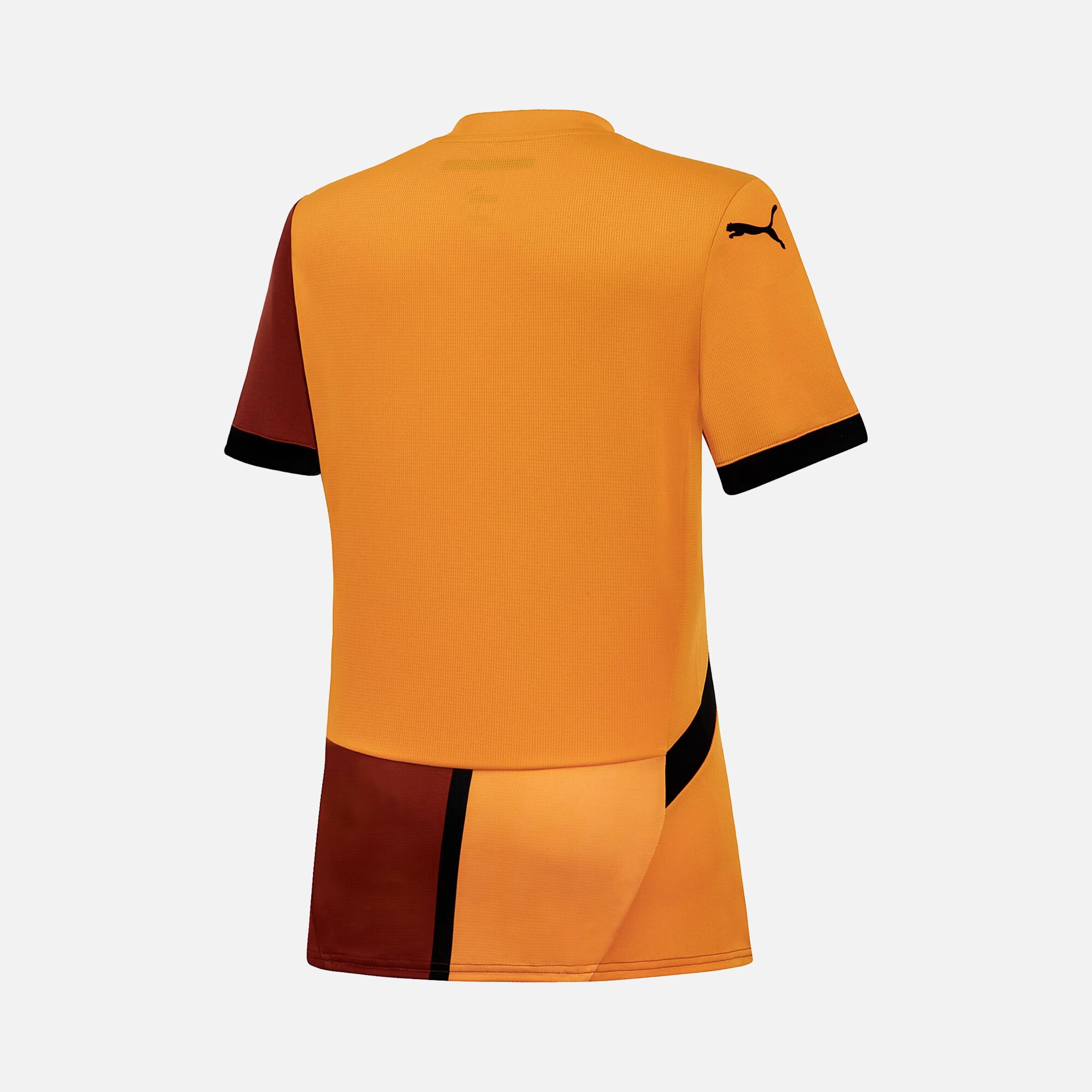 Puma Galatasaray 2024-2025 Stadium İç Saha Kadın Forma