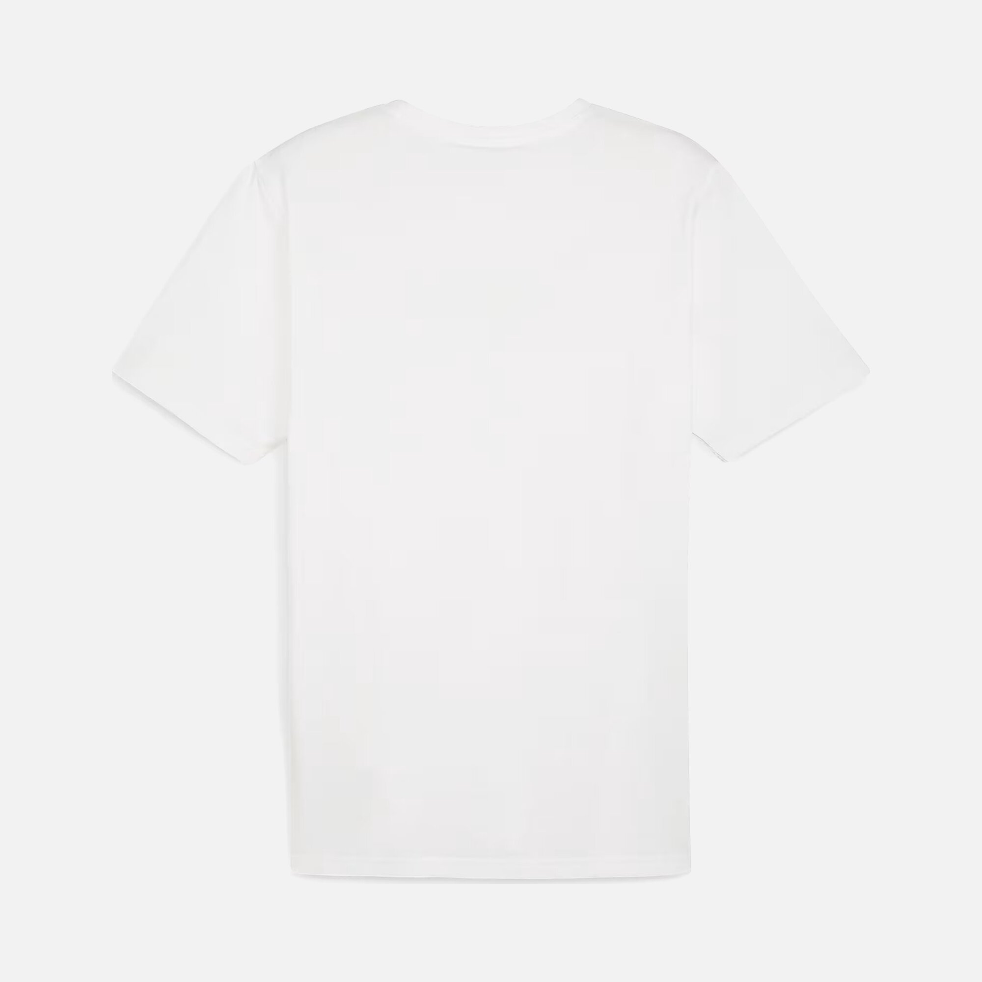 Puma Sportswear TeamRise Logo Jersey Cotton Short-Sleeve Erkek Tişört