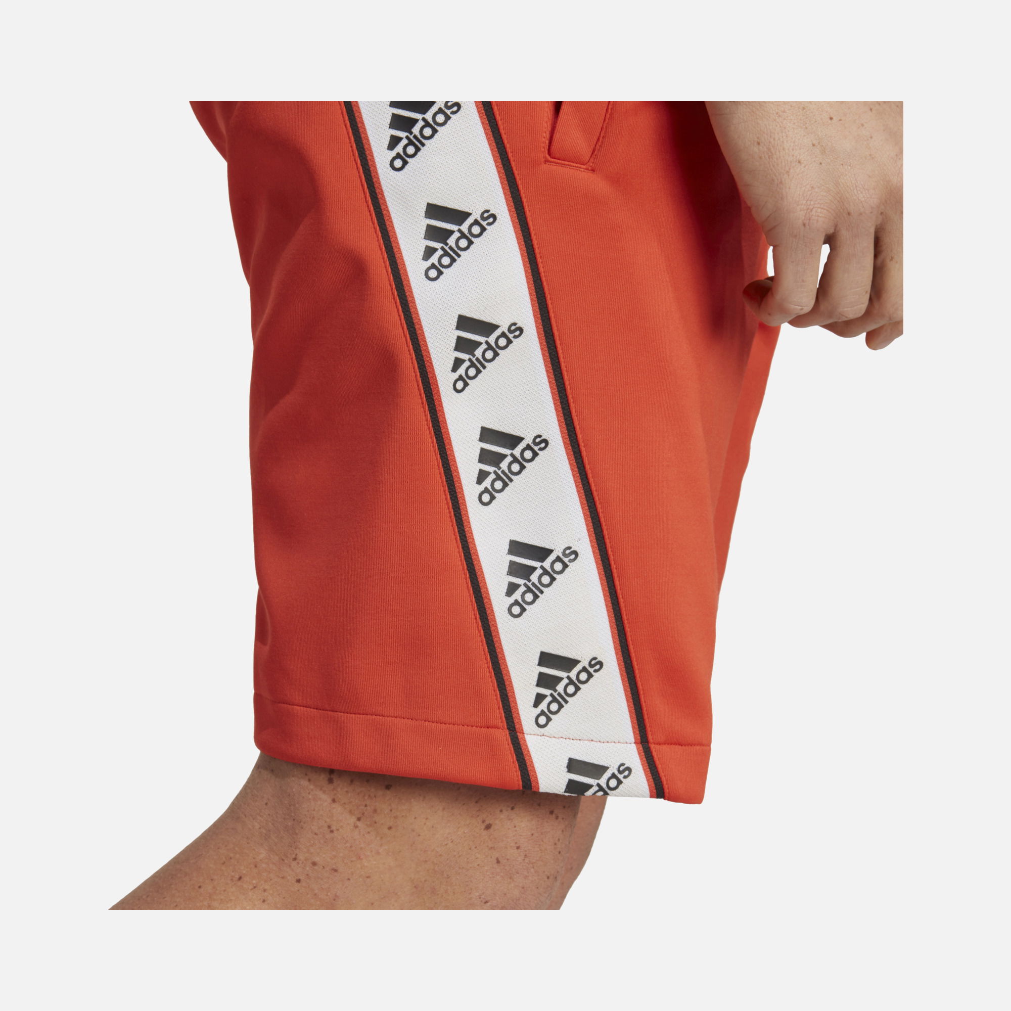 adidas Sportswear Taped Graphic Erkek Şort