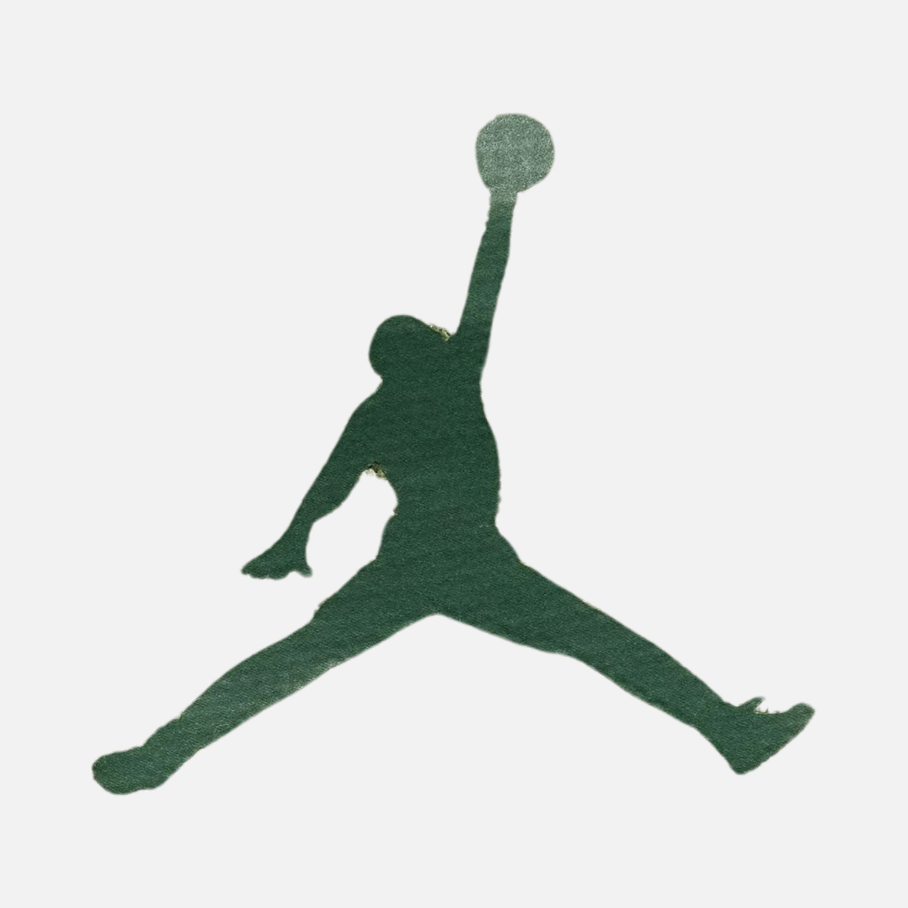 Nike Jordan Graphic Short-Sleeve Kadın Tişört