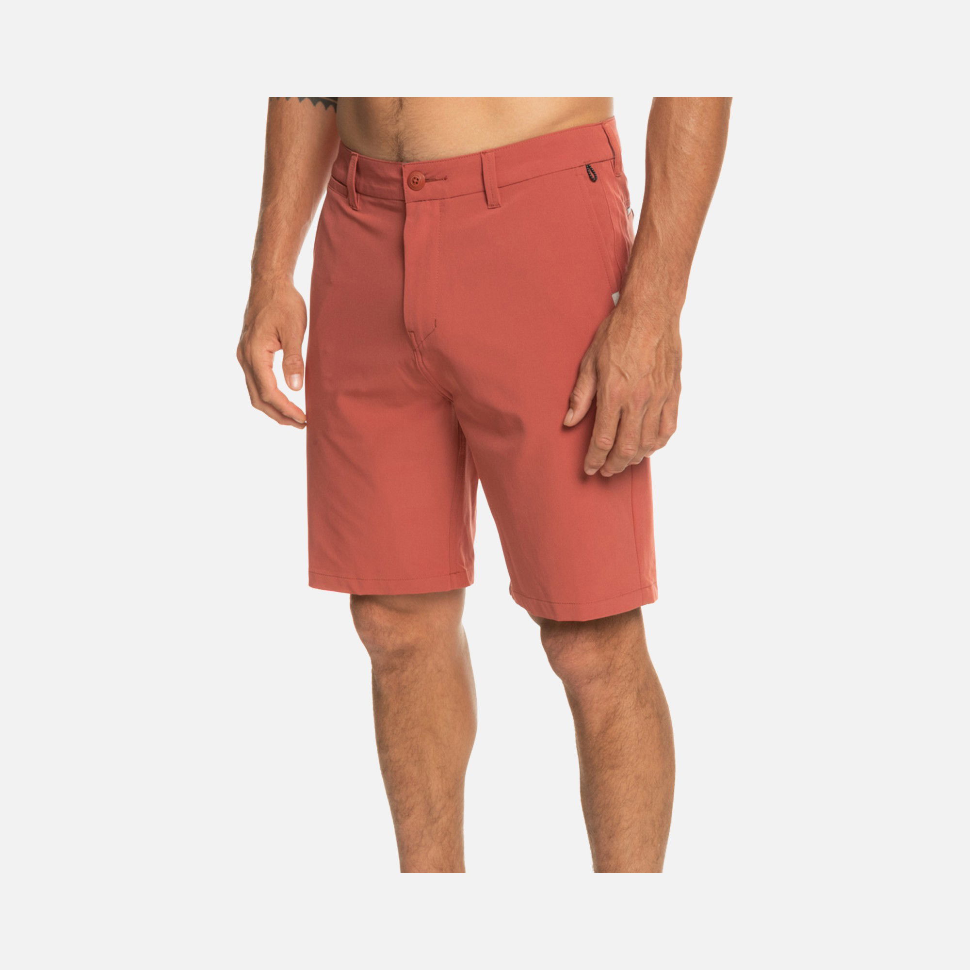 Quiksilver Ocean Union 20" - Amphibian Board Erkek Şort Mayo