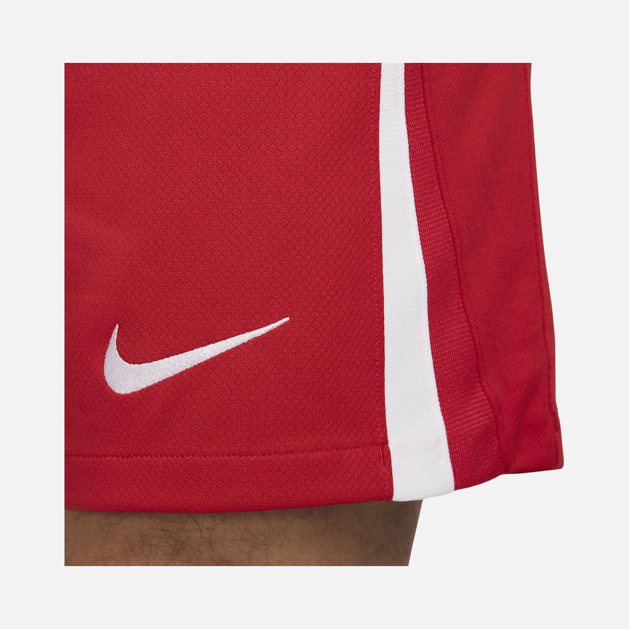 Nike Türkiye 2024-2025 Dri-Fit Stadium İç Saha&Deplasman Erkek Şort