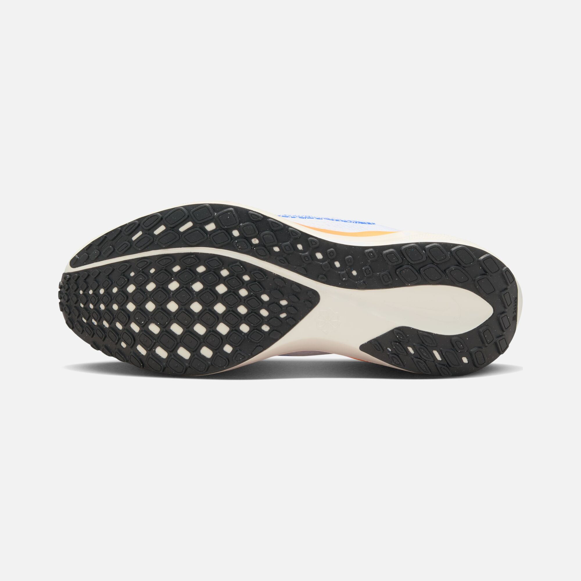 Nike Pegasus EasyOn Blueprint Road Running Kadın Spor Ayakkabı