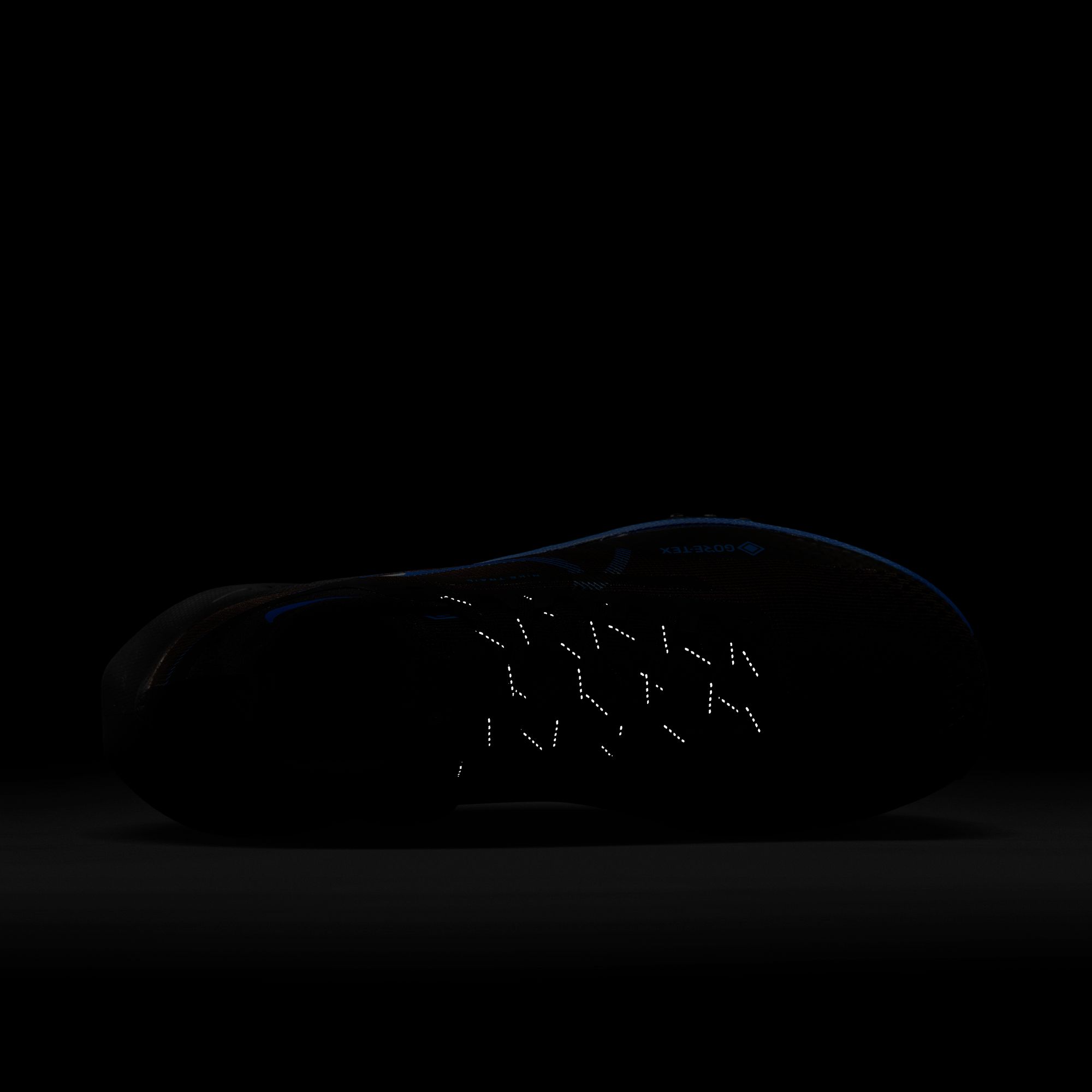 Nike React Pegasus Trail 4 Gore-Tex Road Running Erkek Spor Ayakkabı