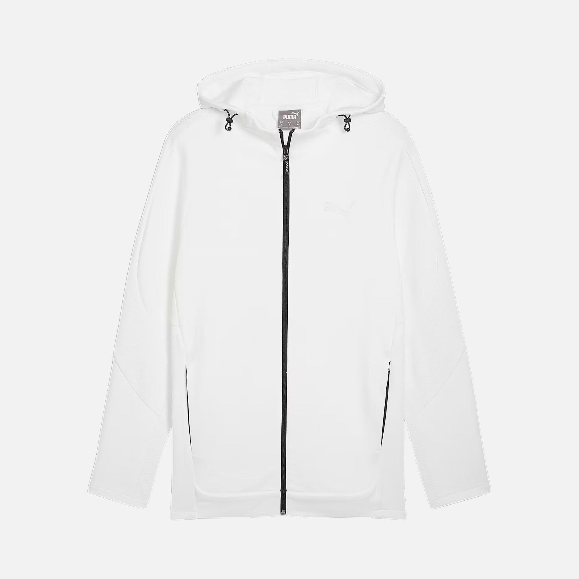 Puma Sportswear Evostripe Full-Zip Hoodie FW24 Erkek Sweatshirt