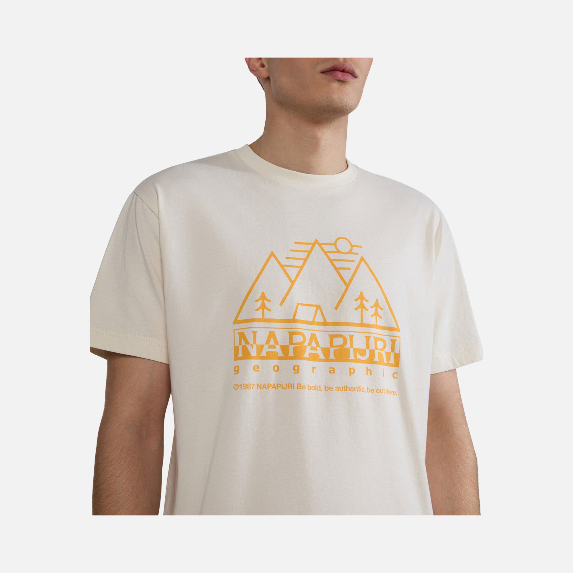 Napapijri Sportswear Faber Graphic Short-Sleeve Erkek Tişört