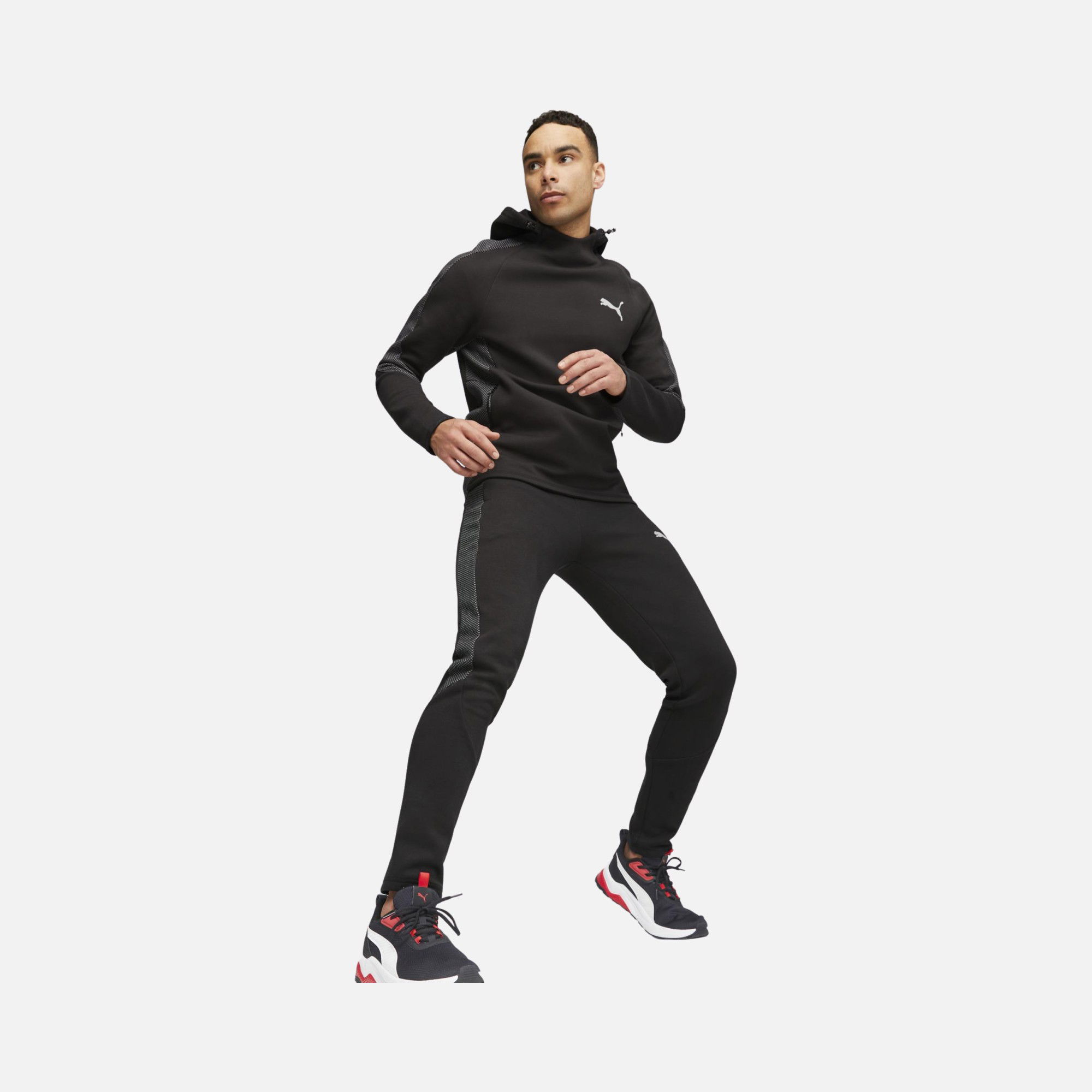 Puma Sportswear Evostripe Dk Hoodie Erkek Sweatshirt